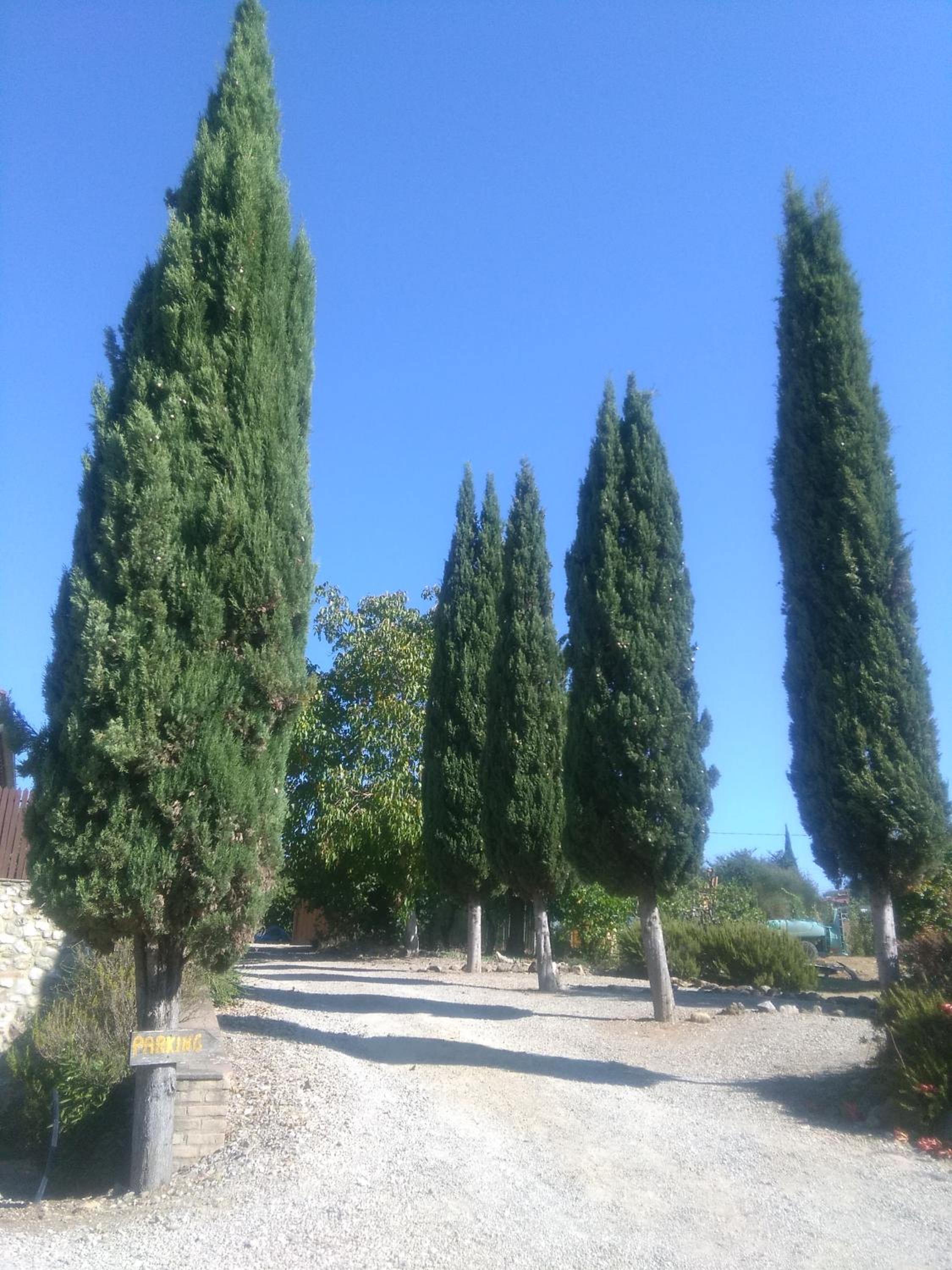Casa ai Carfini