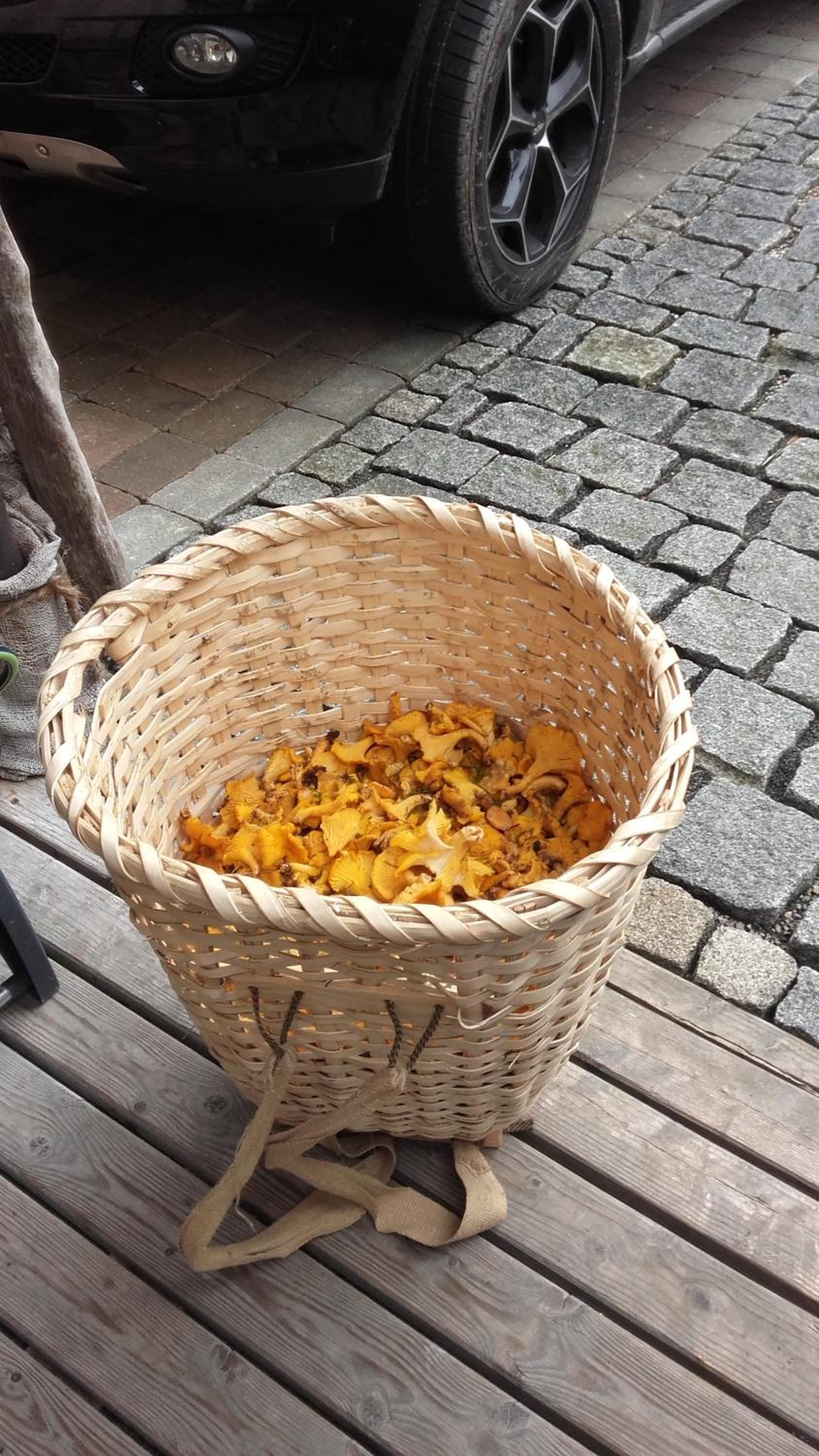 Arlerschmied die Pension/Appartment