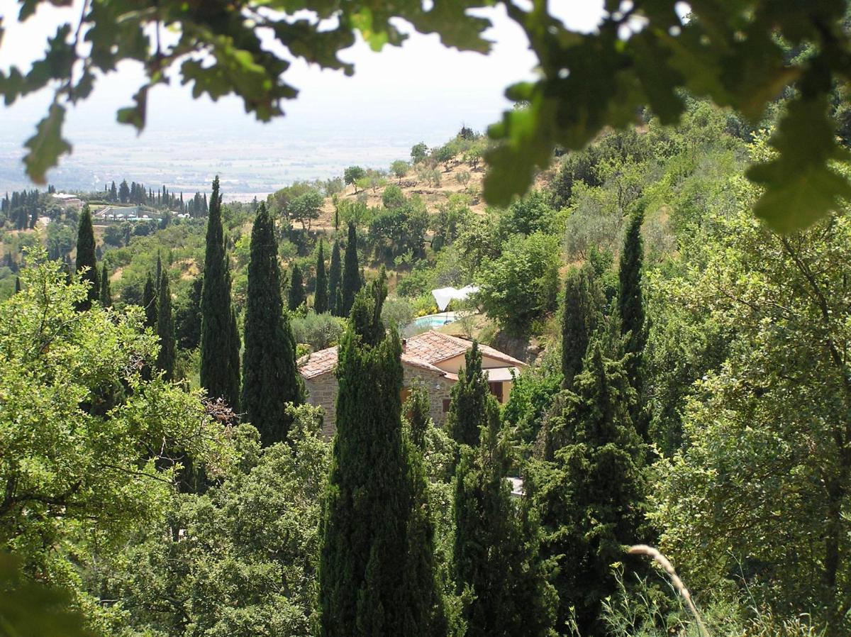 Villa Rosa