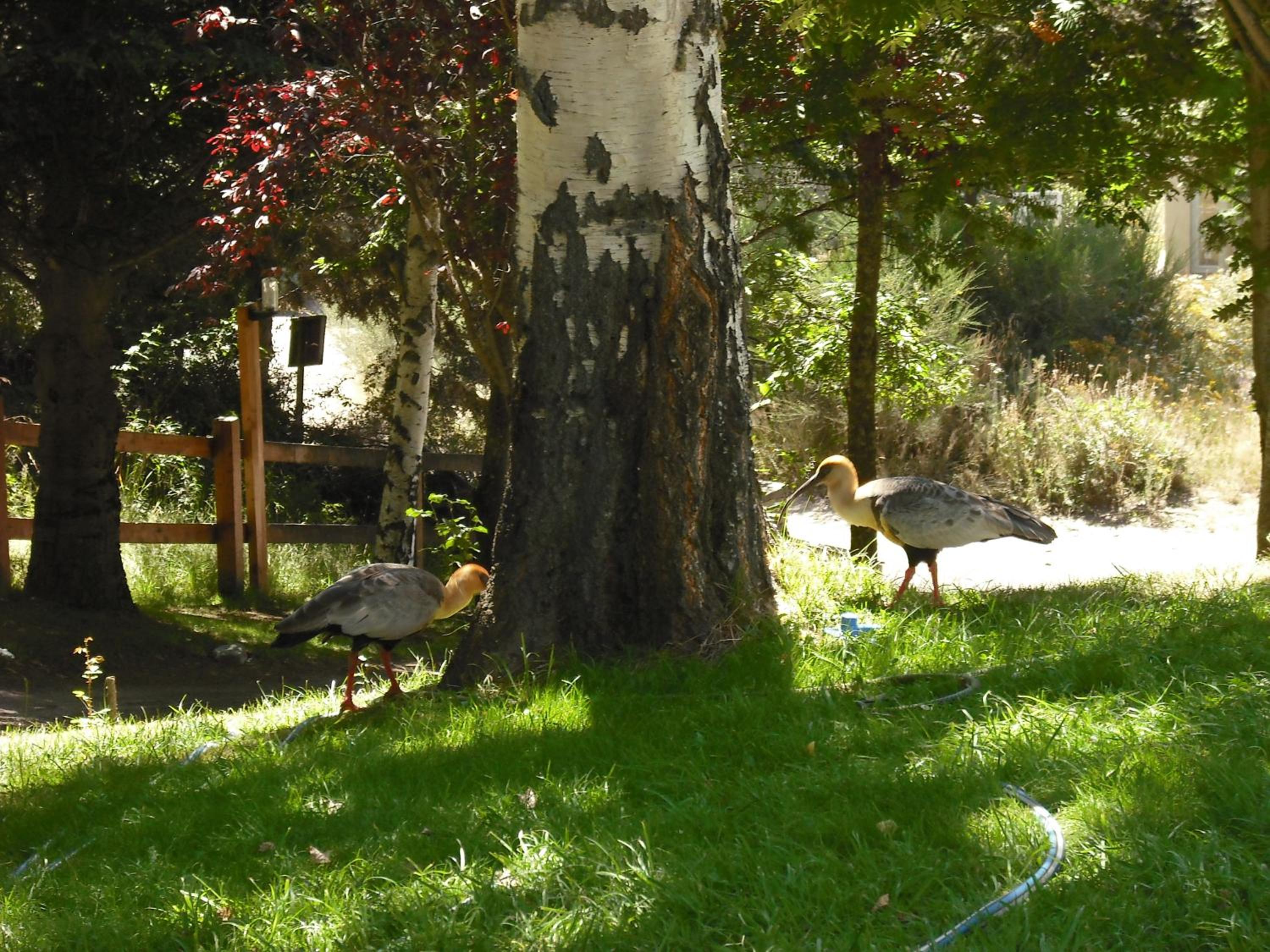 Las Bahías