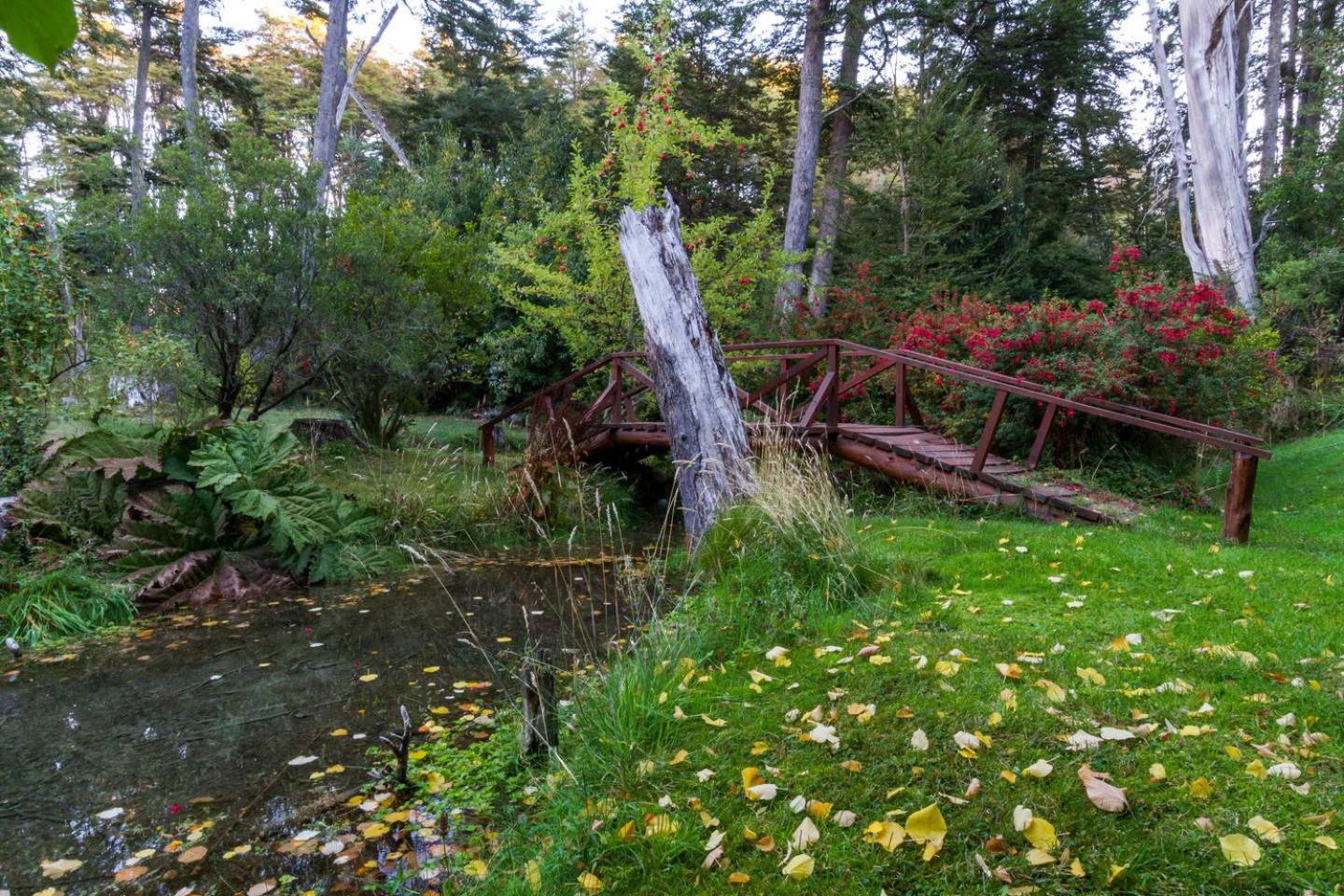 BOG Costa de Rio - Piscina climatizada y costa de rio