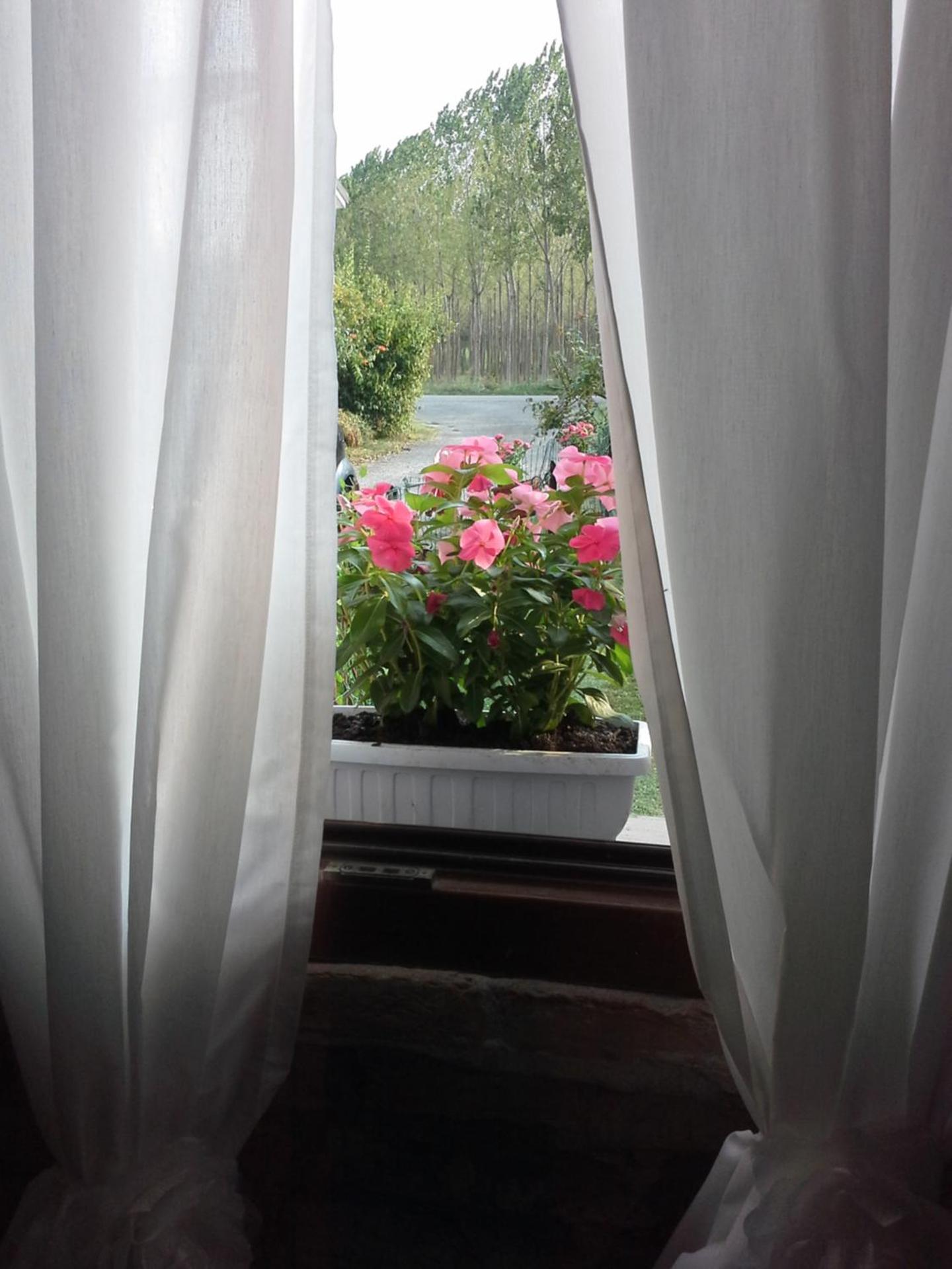 Photo 57