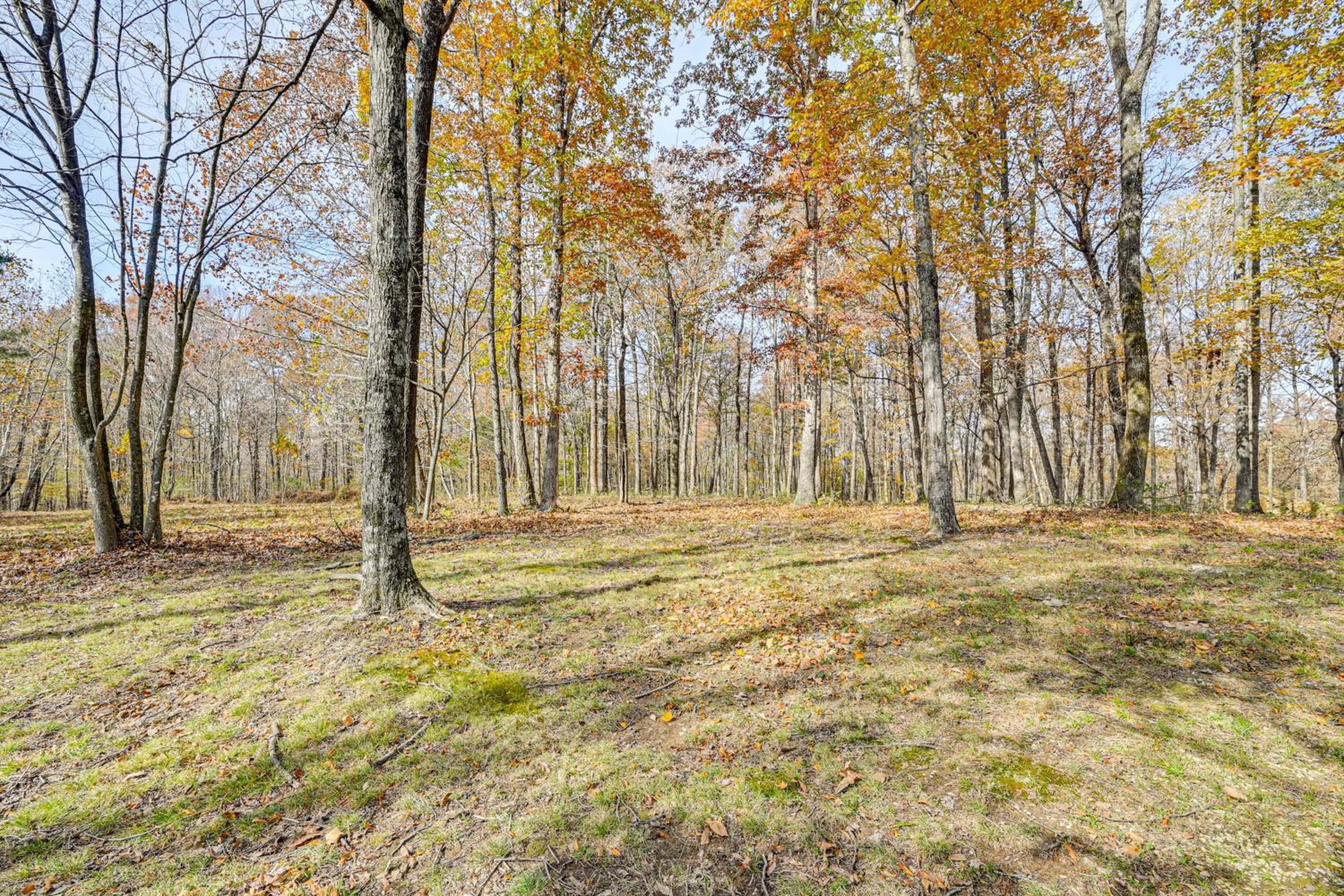 4 Mi to Mammoth Cave Hand-Built Cabin on 70 Acres