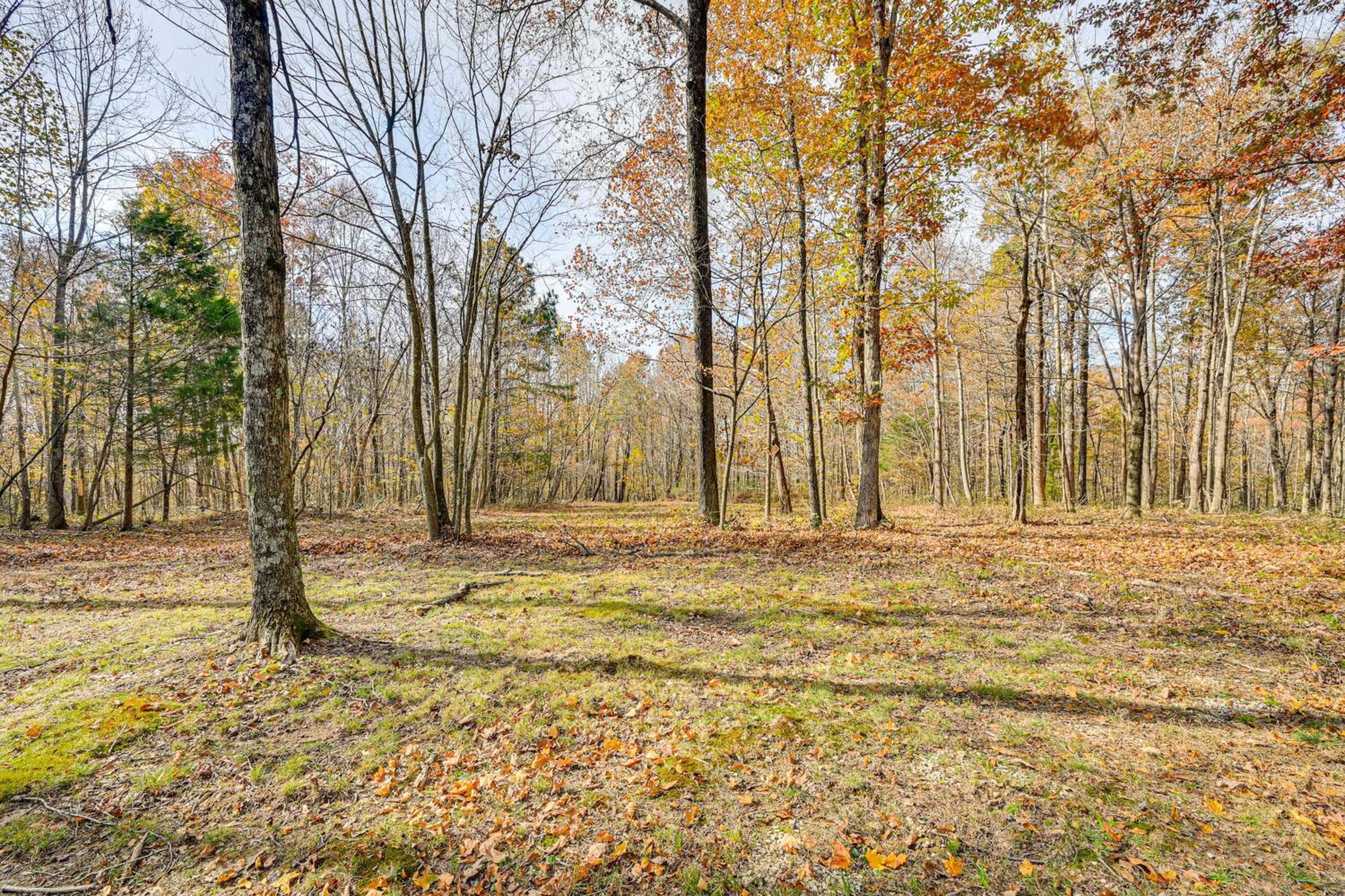 4 Mi to Mammoth Cave Hand-Built Cabin on 70 Acres