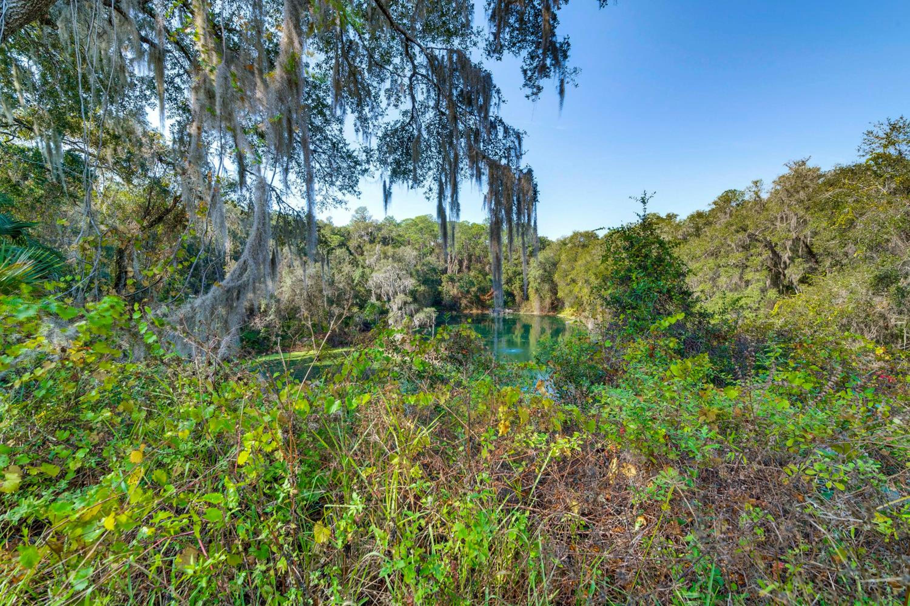Spacious Hernando Home Community Pool and Lake!