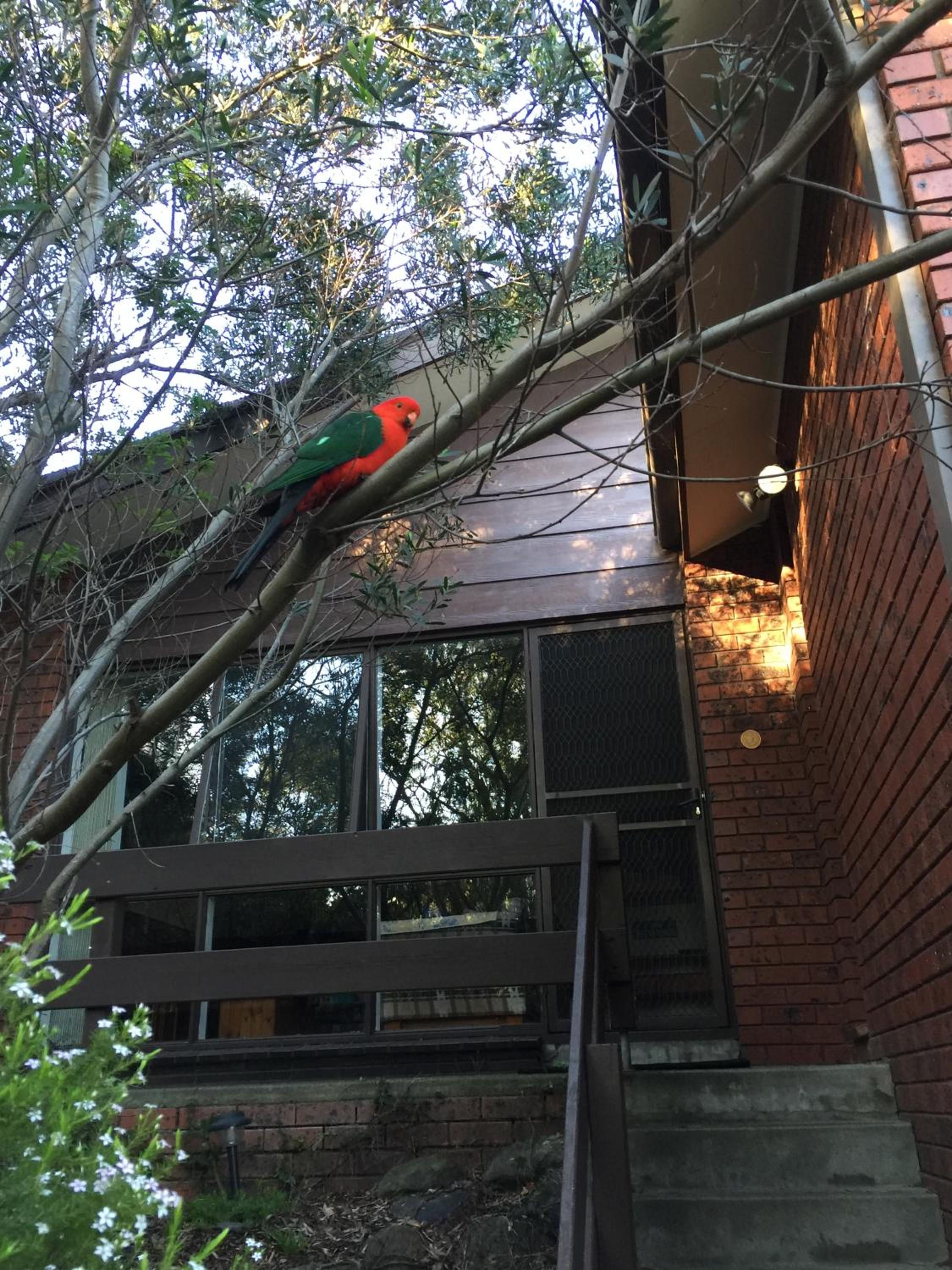 Holiday Home in the Heart of Anglesea