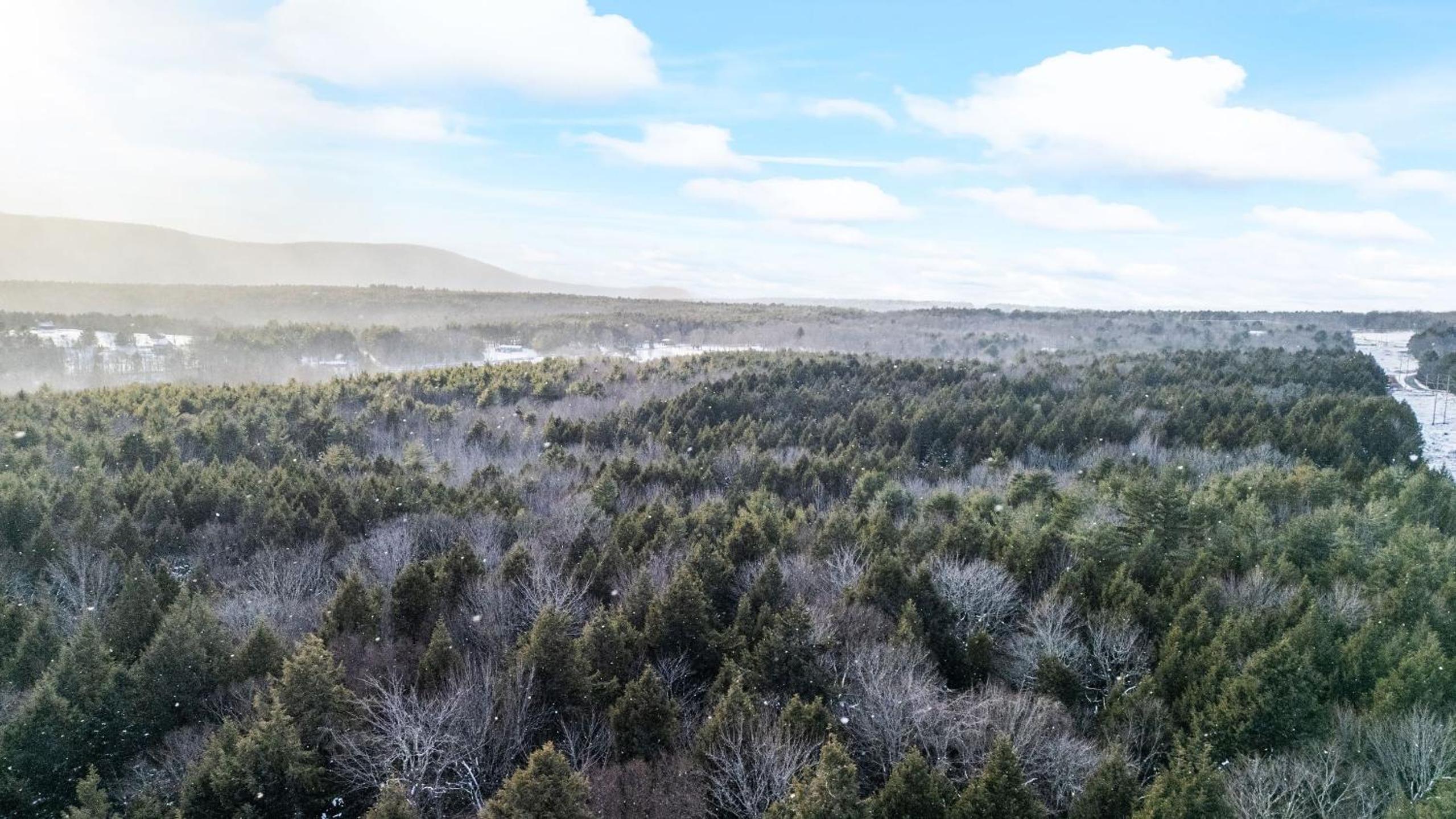Catskills Mountain Home Near Windham w Fireplace Open Living Deer Run Lodge by AvantStay
