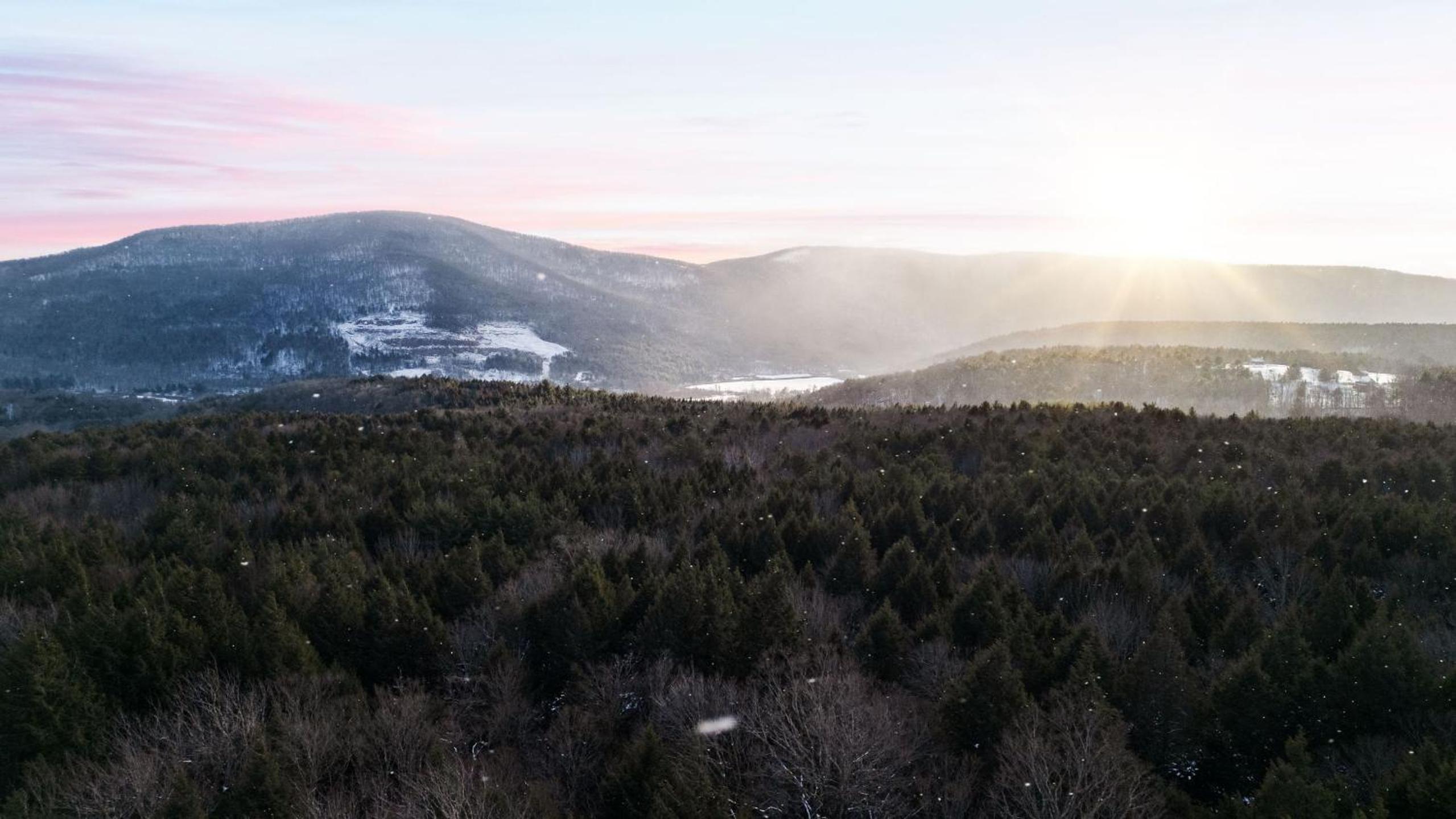 Catskills Mountain Home Near Windham w Fireplace Open Living Deer Run Lodge by AvantStay
