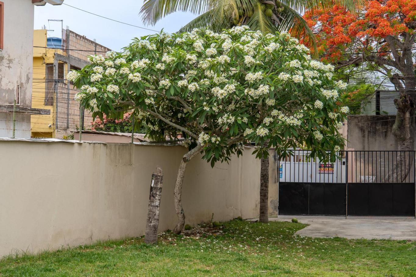 Casa Pet Friendly c Churrasqueira a 120m da Praia
