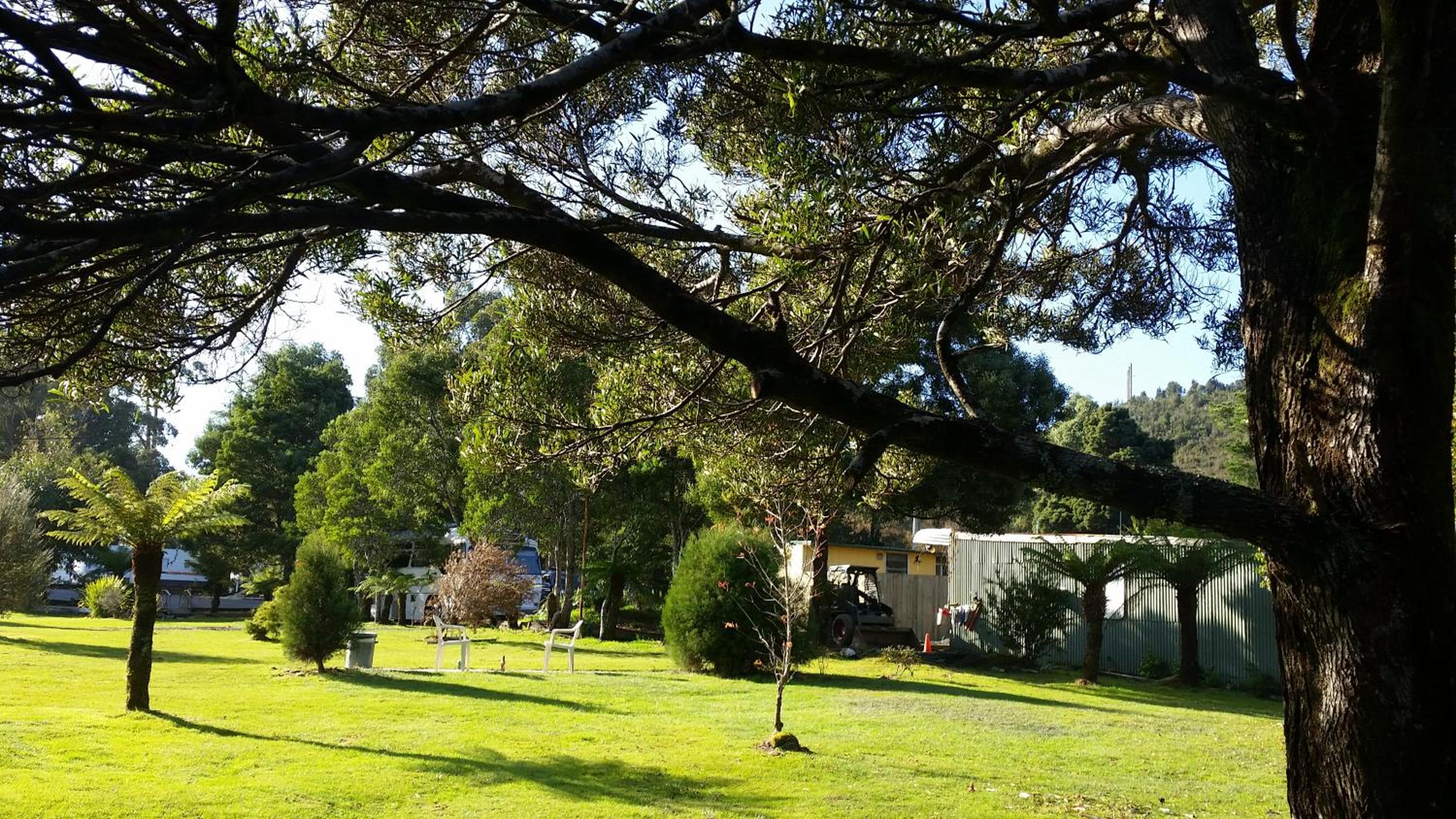 Zeehan Bush Camp view 5
