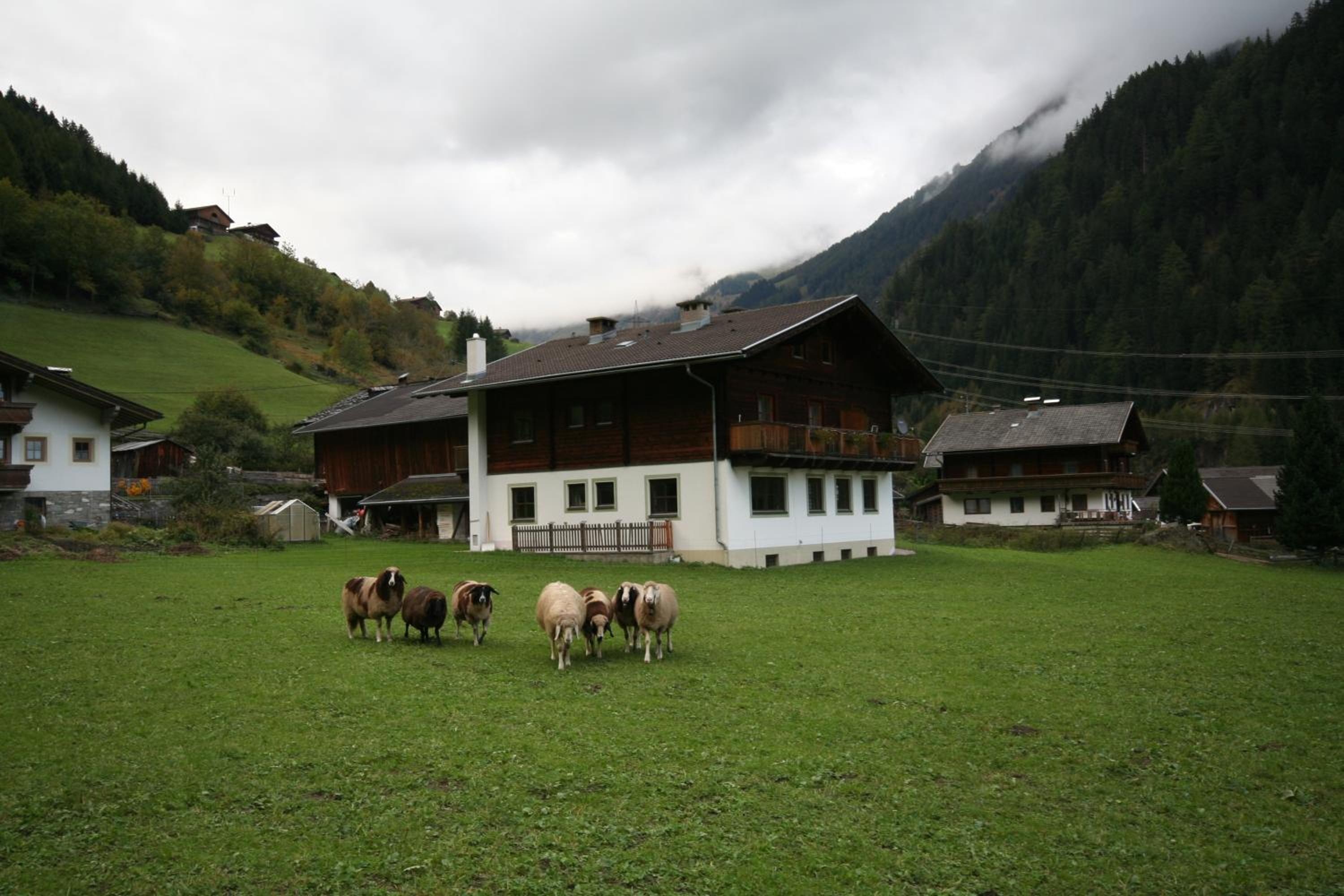 Ferienhaus Ruggenthaler view 5