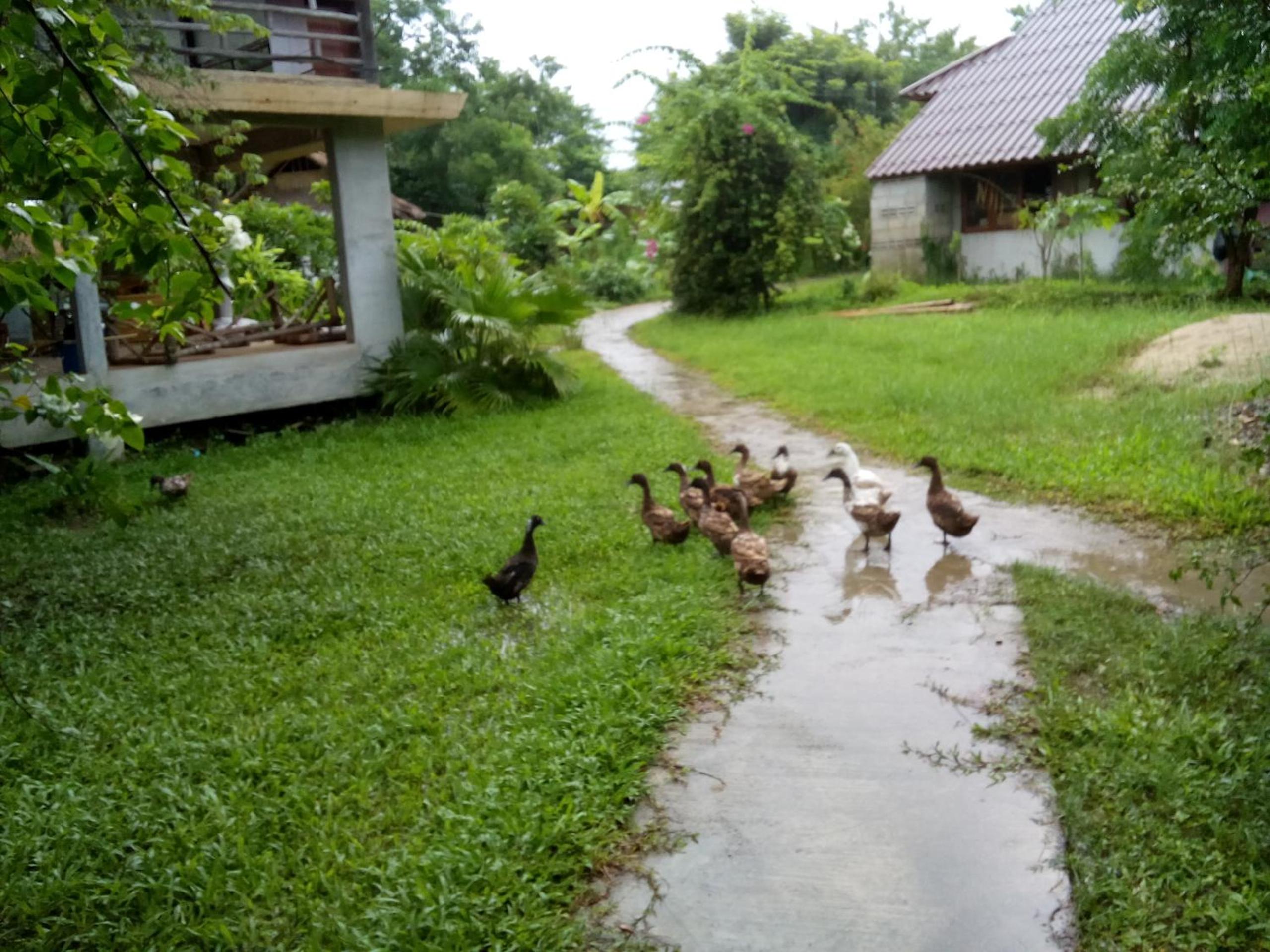 Ing Doi Guest House