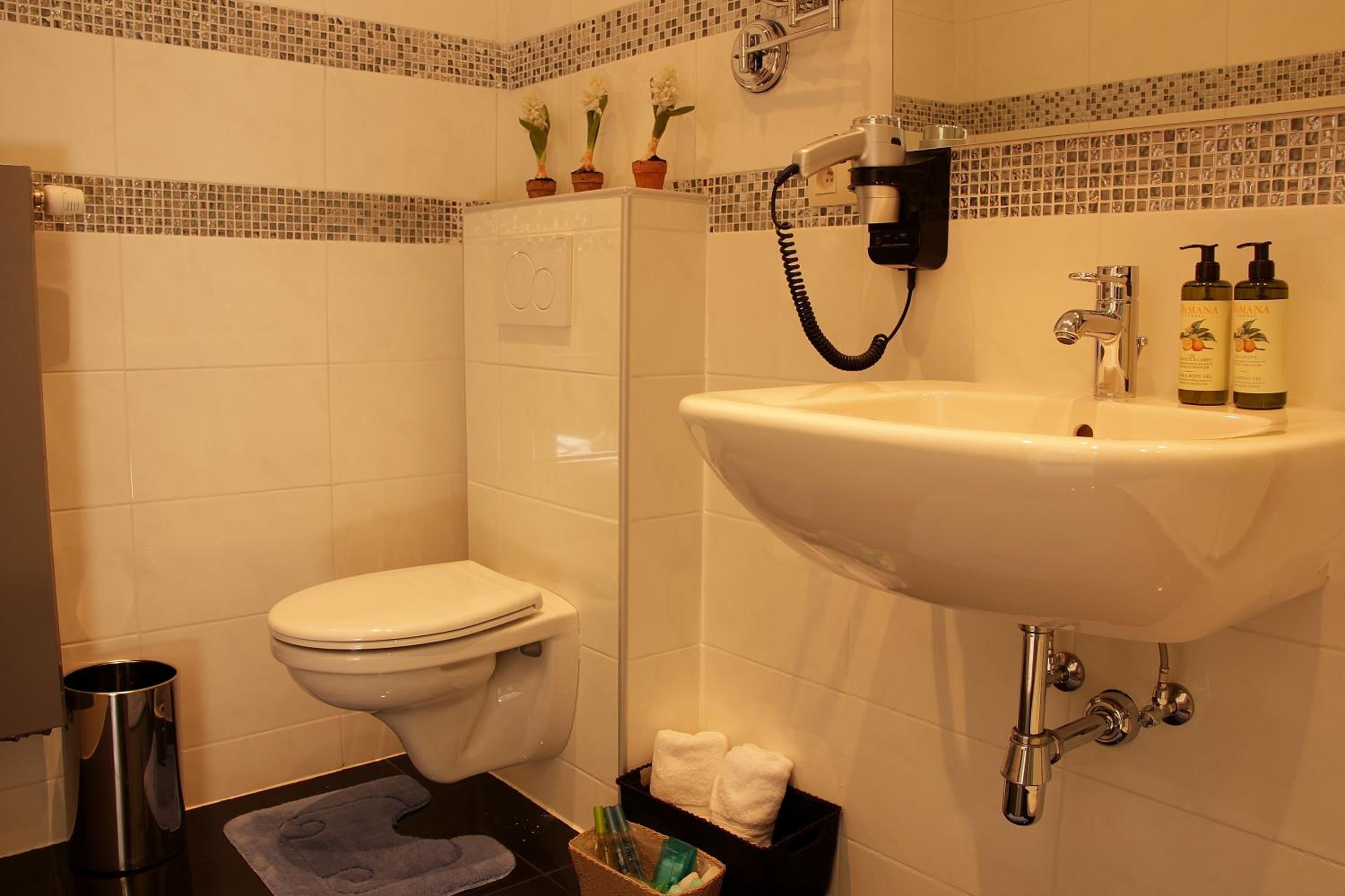 Luxury Suites Arendshof
