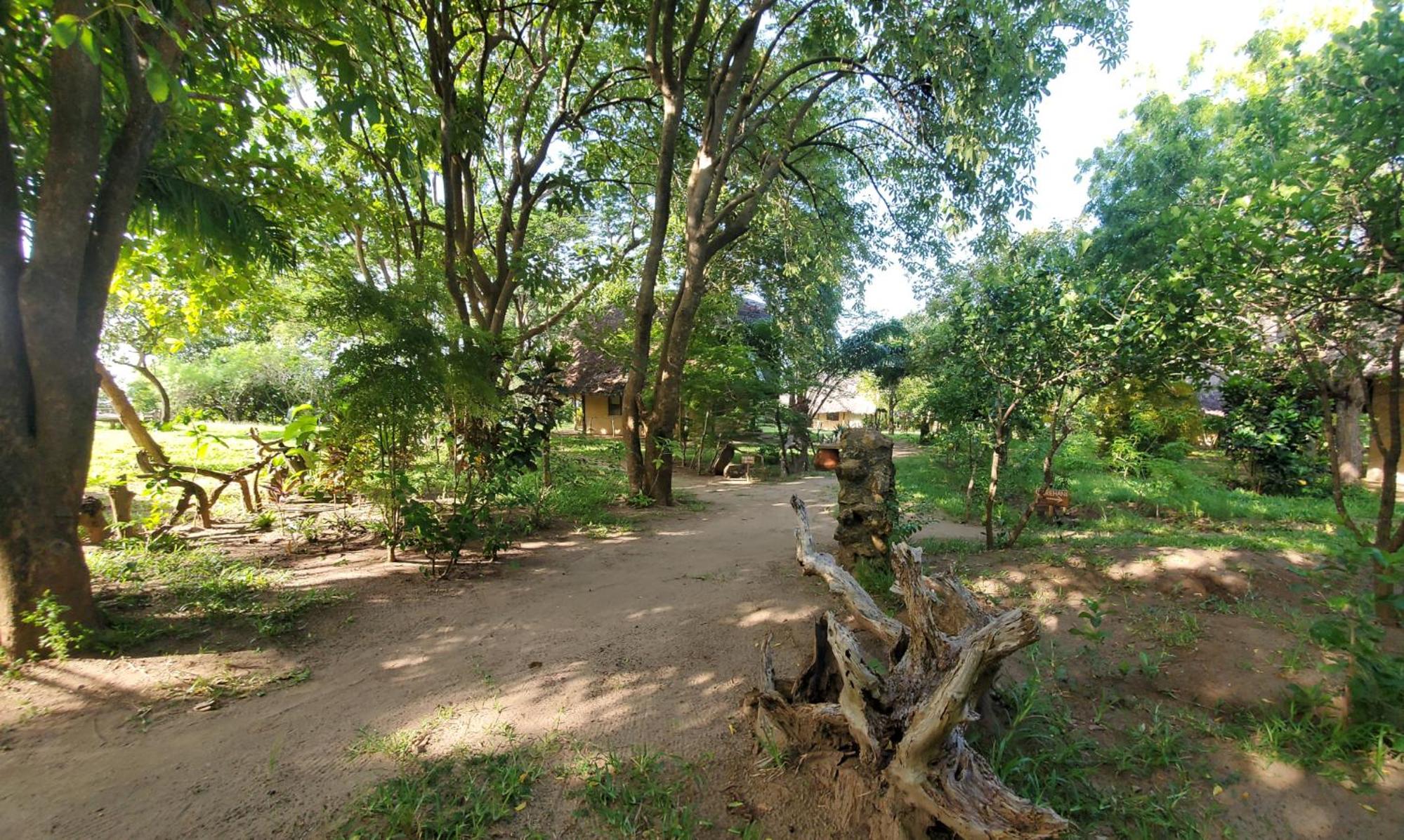 Eco Shamba Kilole Lodge