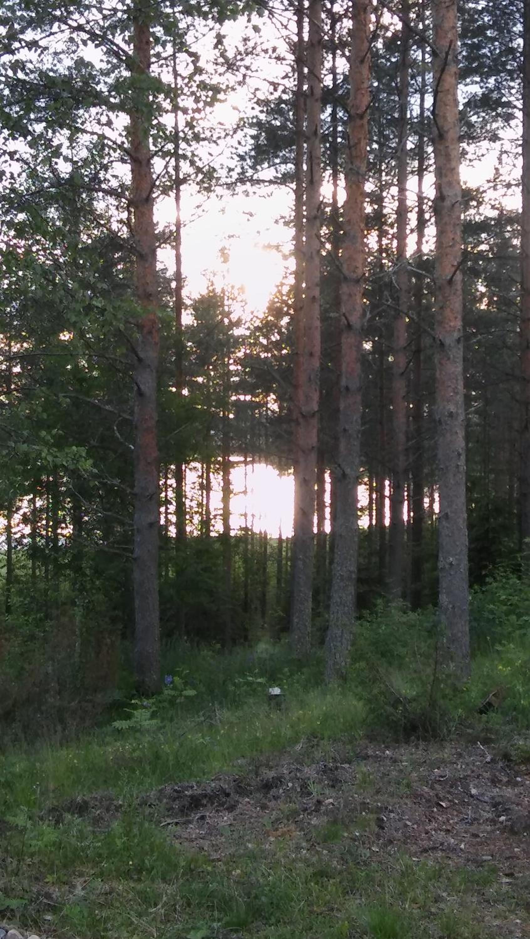 Photo 46