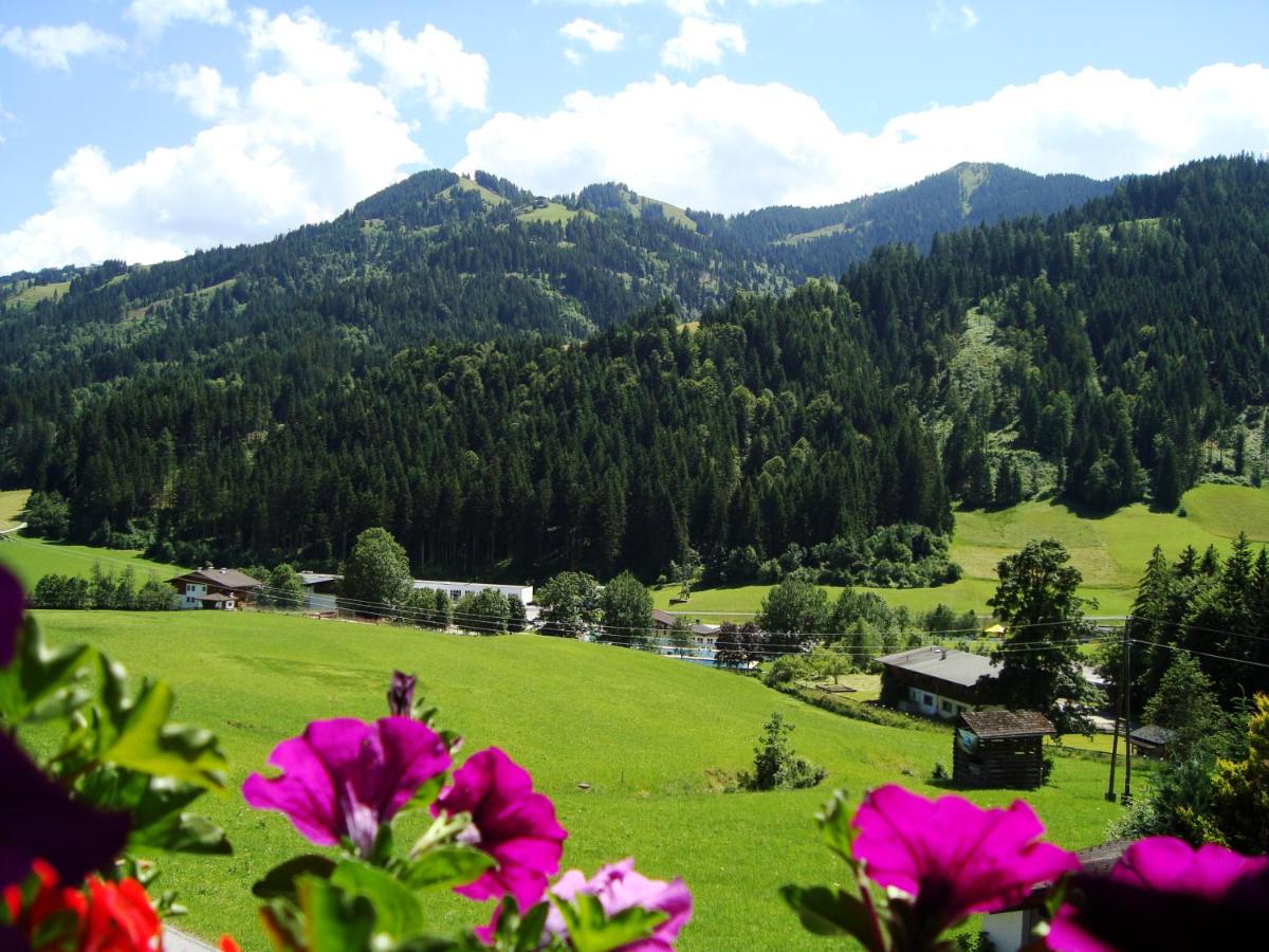 Haus Sonnenrose view 4