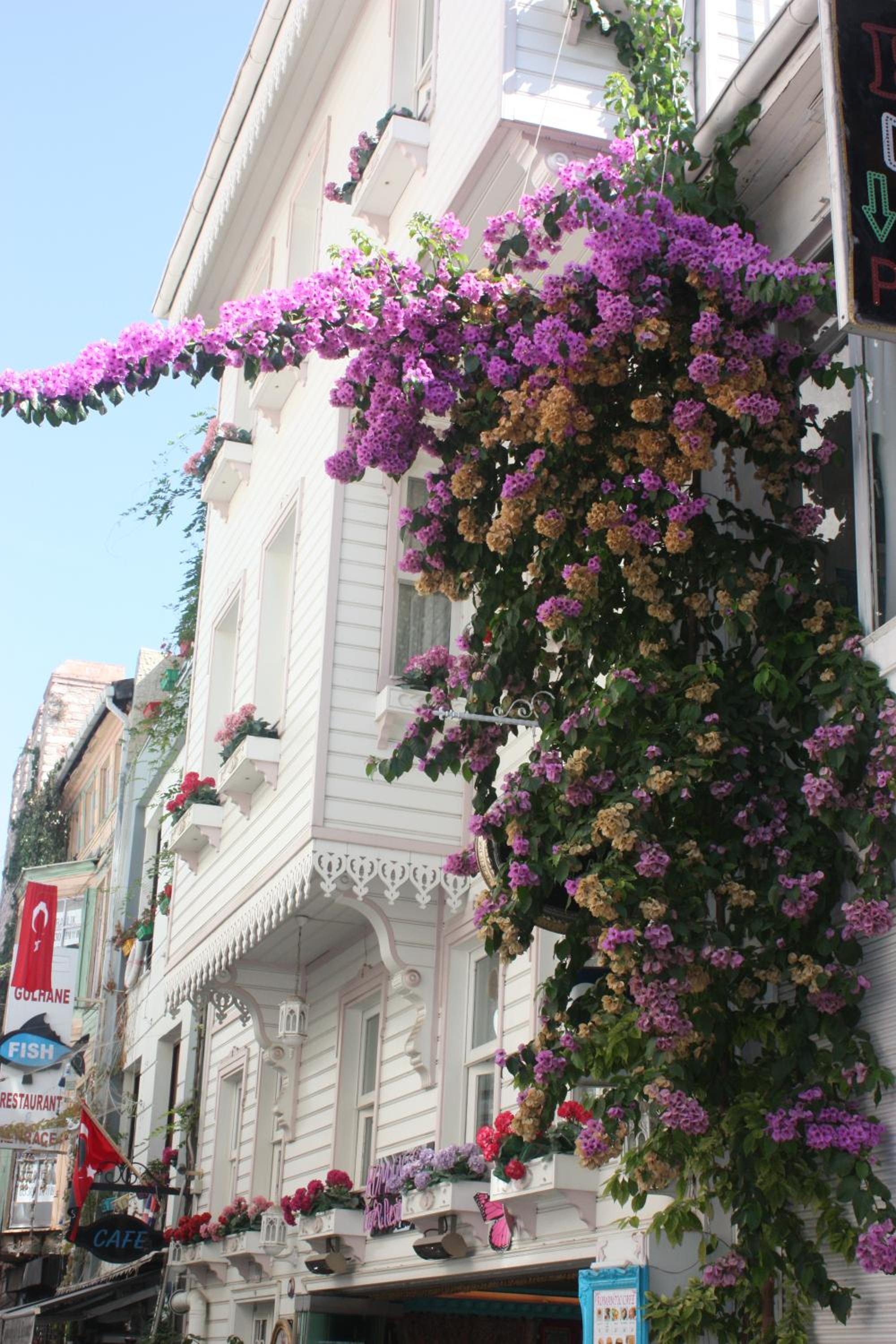 Romantic Mansion - Image 27