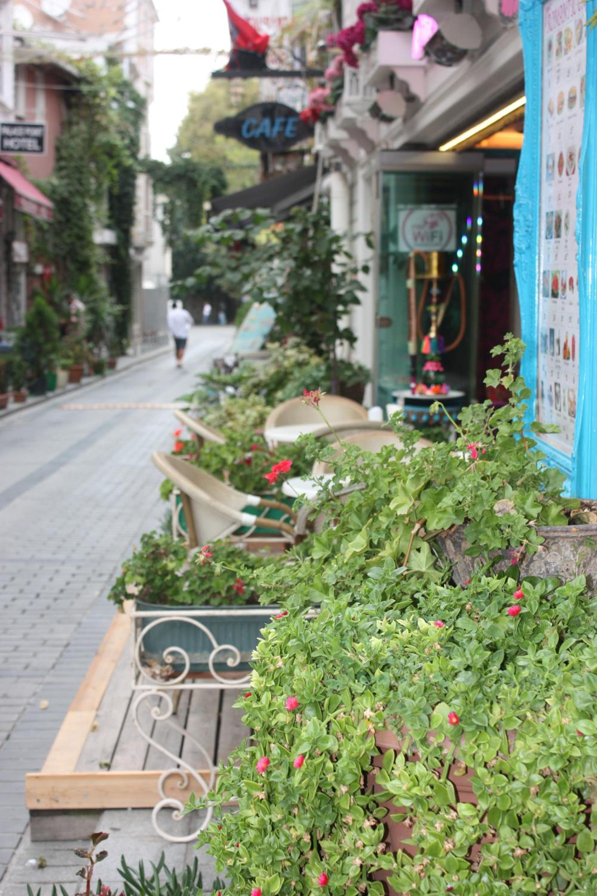 Romantic Mansion - Image 29