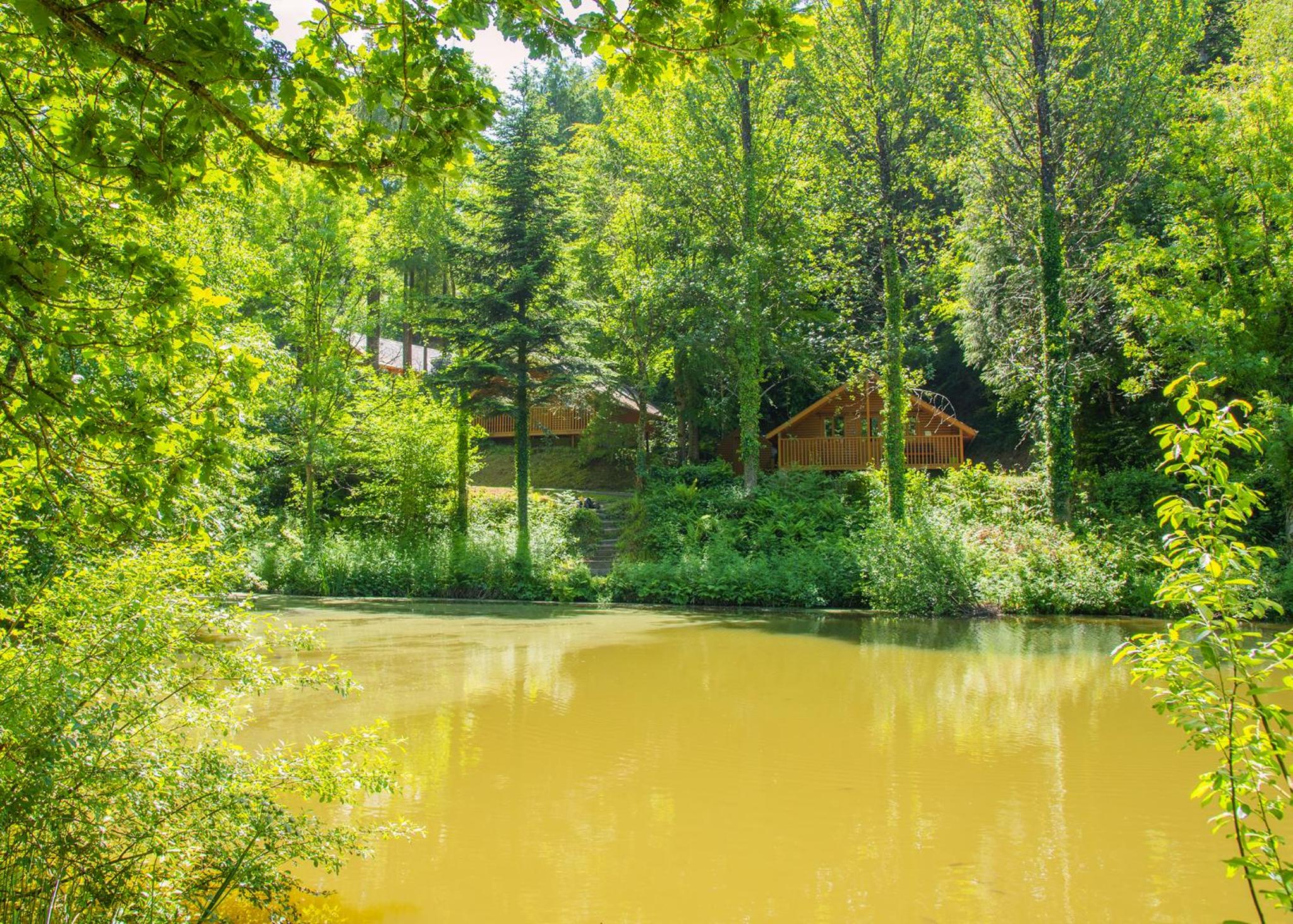Bulworthy Forest Lodges view 2