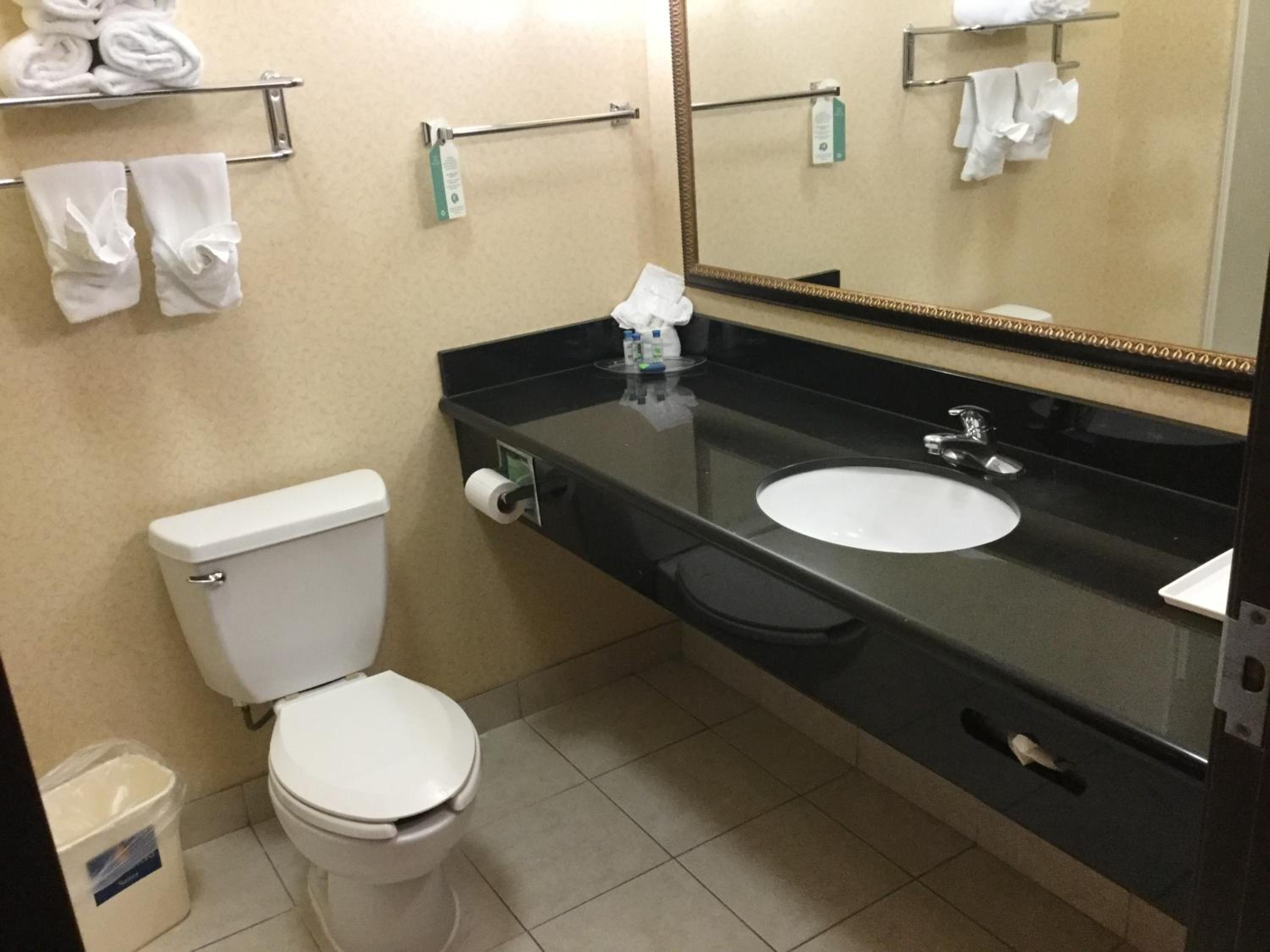 Longview Vacations - Holiday Inn Express Suites Longview South I-20, an IHG Hotel - Property Image 29
