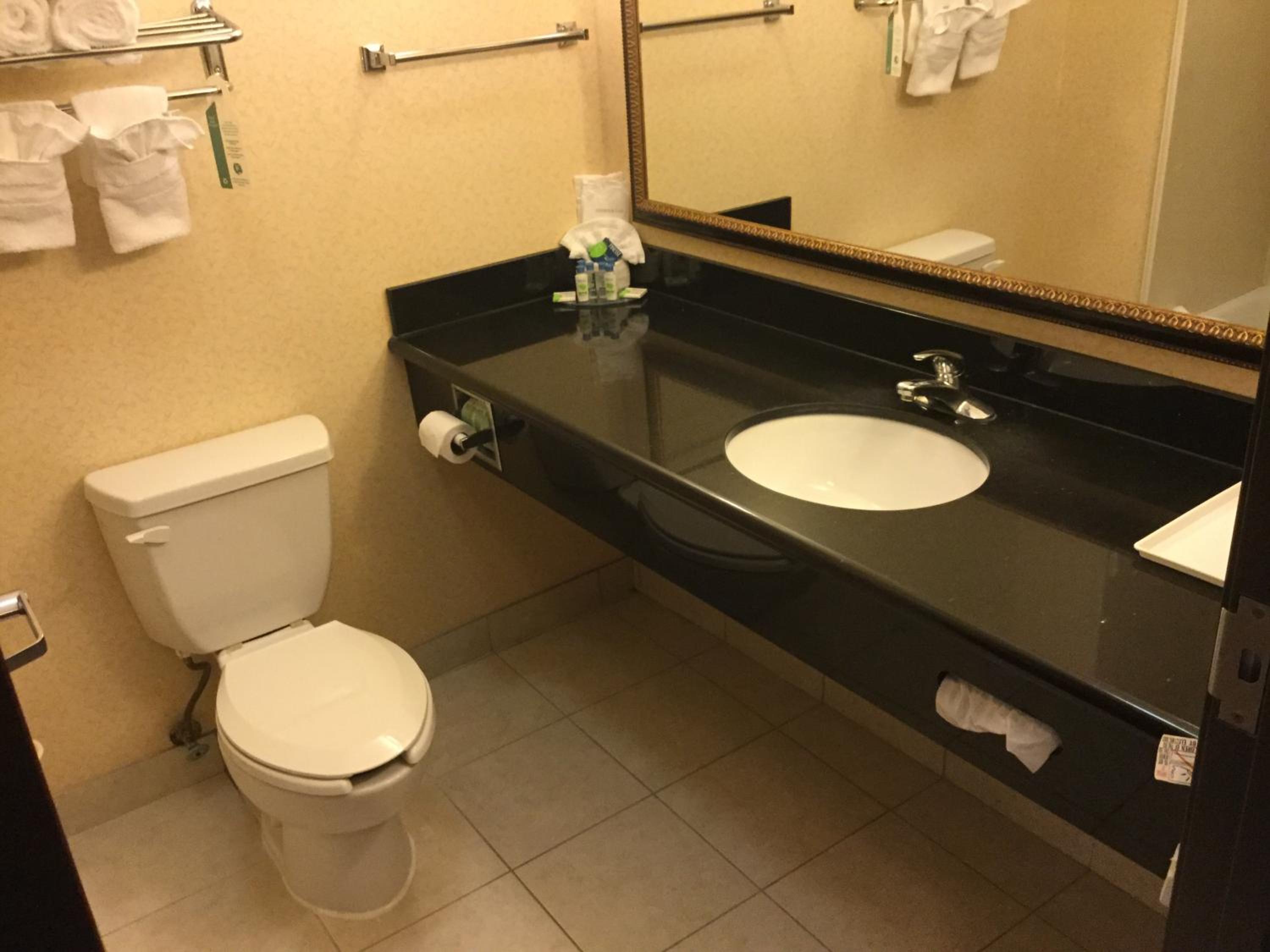 Longview Vacations - Holiday Inn Express Suites Longview South I-20, an IHG Hotel - Property Image 26
