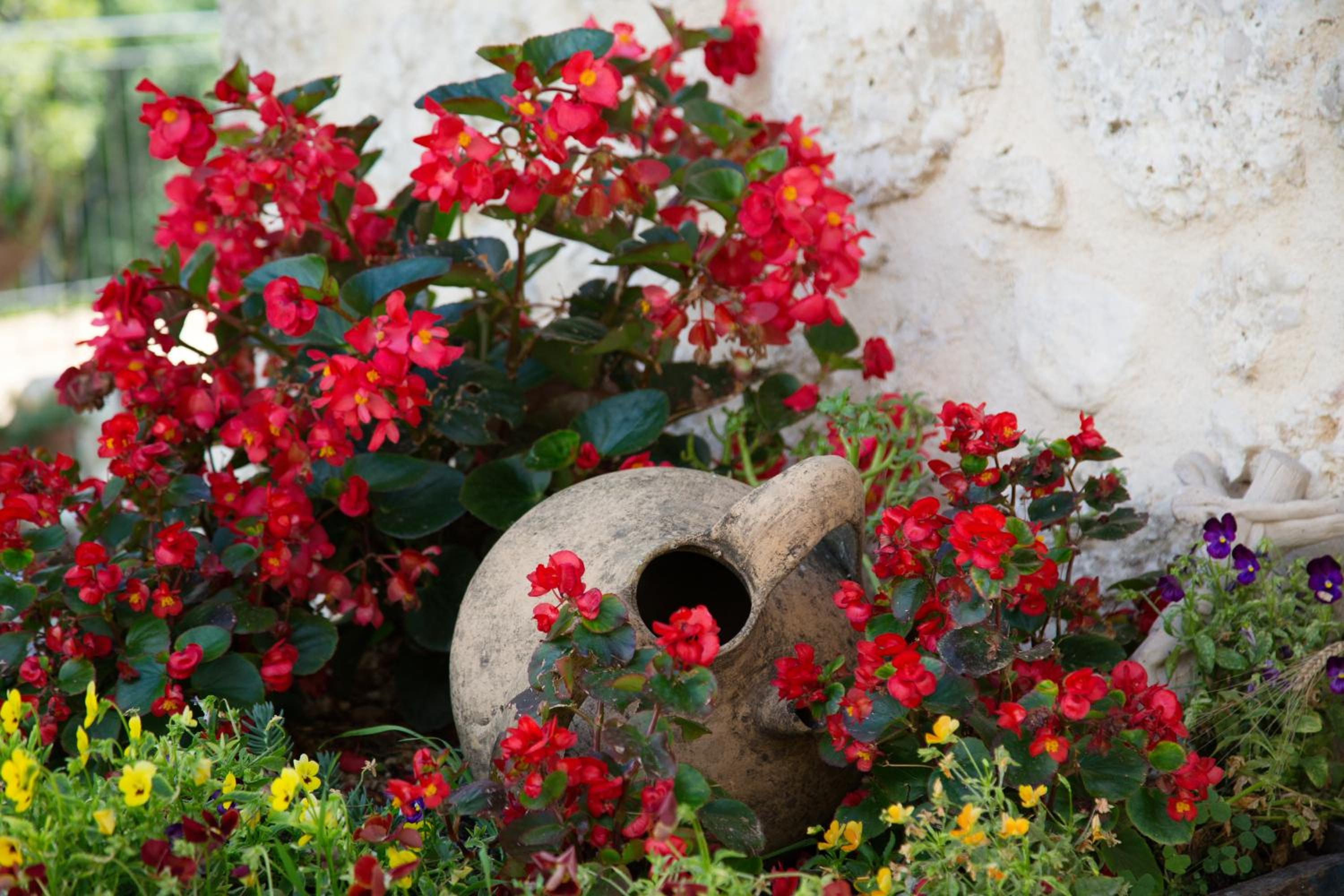 Agriturismo Le Faeta