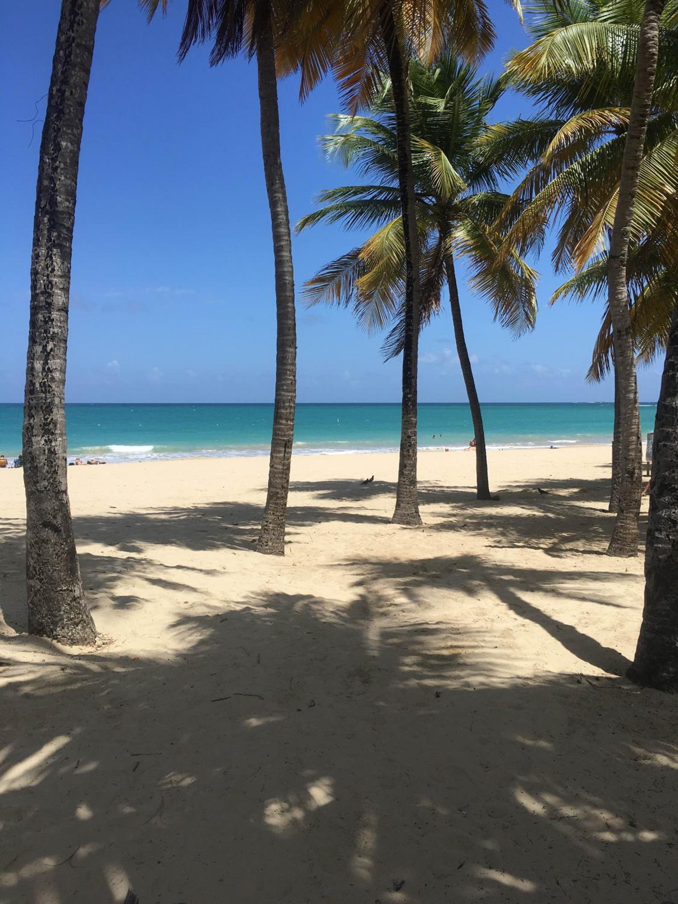 Borinquen Beach Inn - Property Image 37