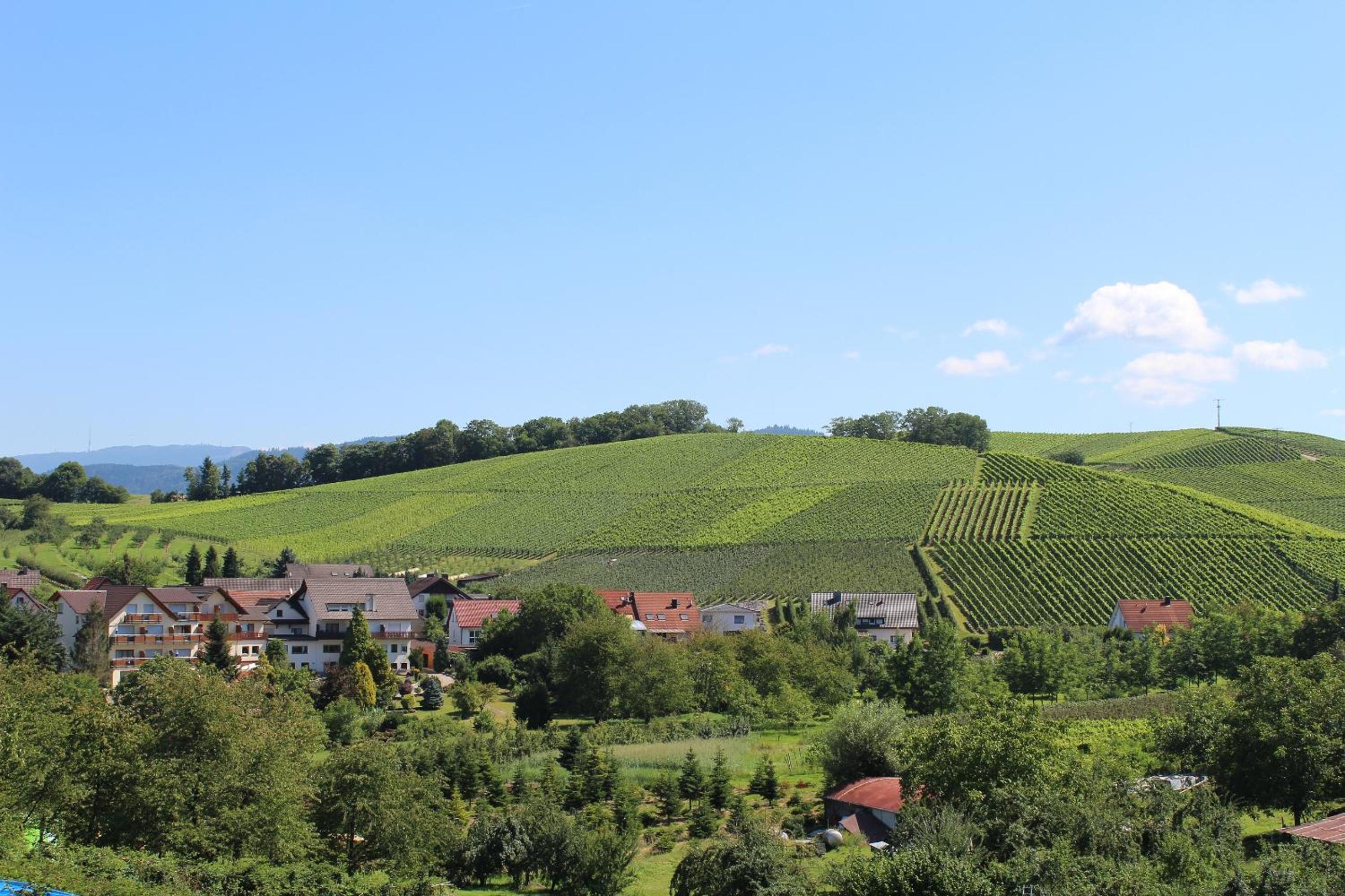 Hotel-Gasthof Rose