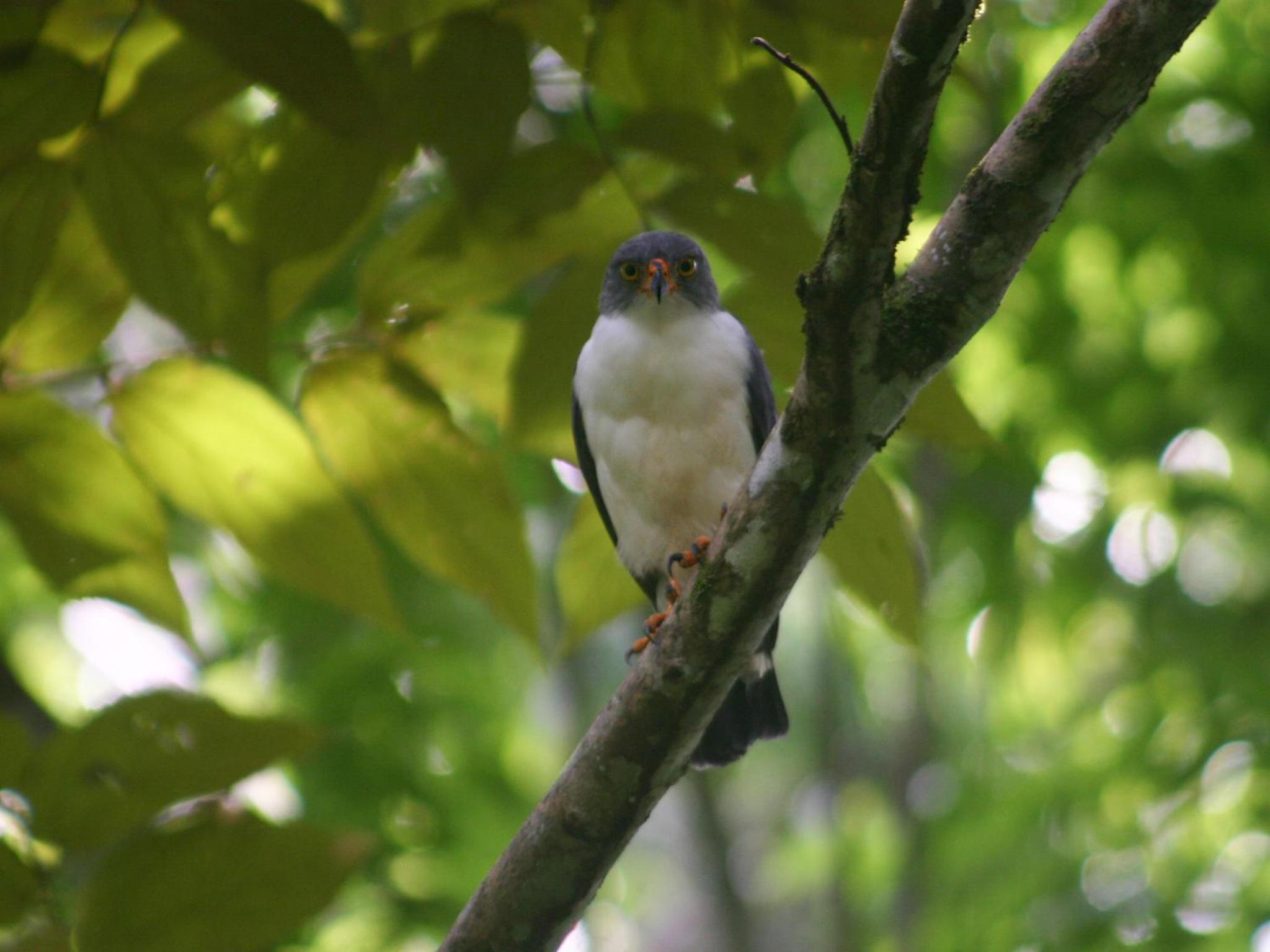 El Colibri Lodge