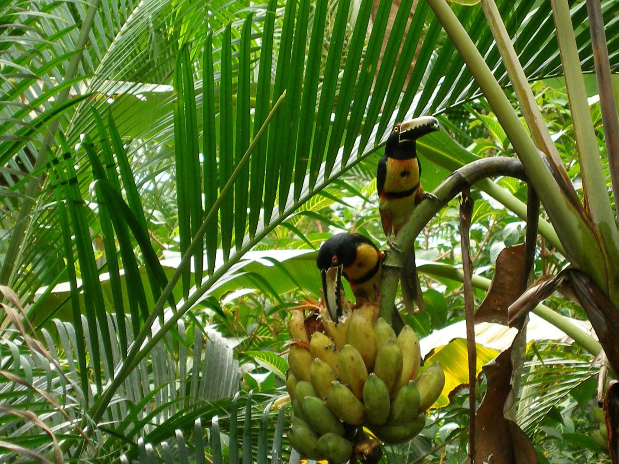 El Colibri Lodge