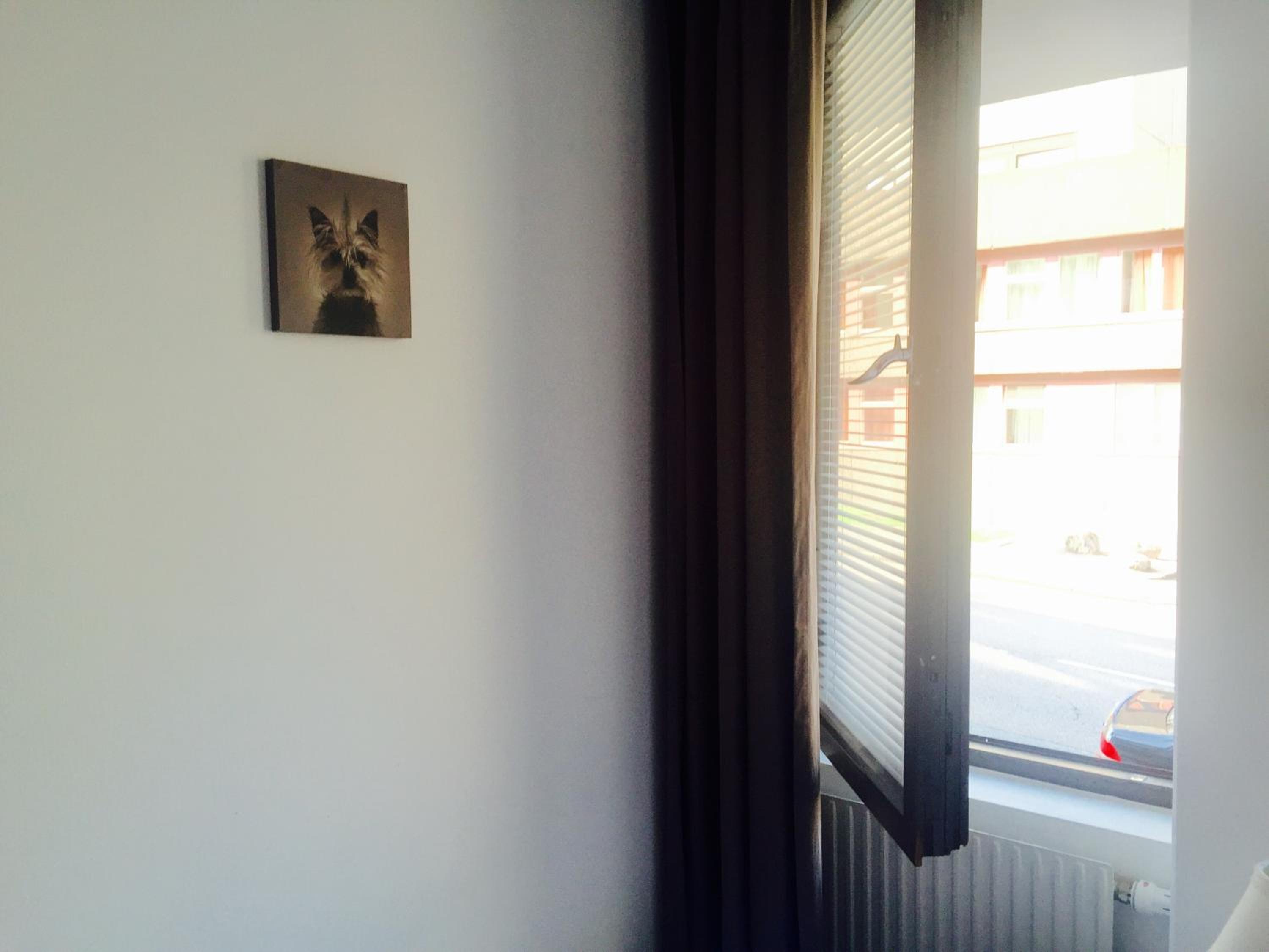 Linné Hostel