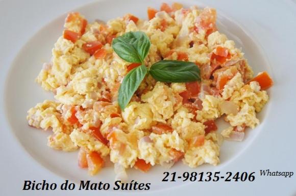 Bicho do Mato Suites