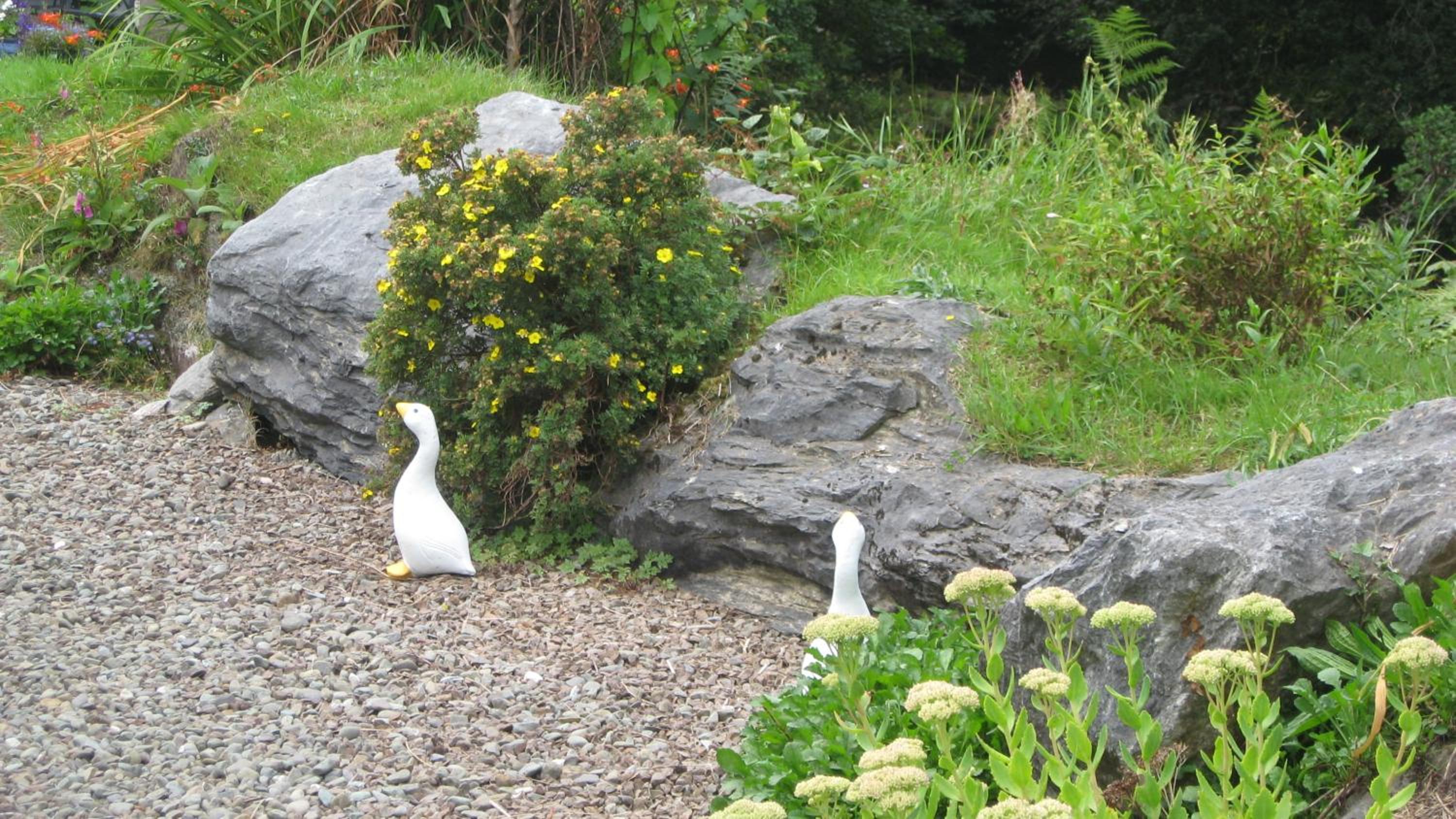 An Bruachan B&B