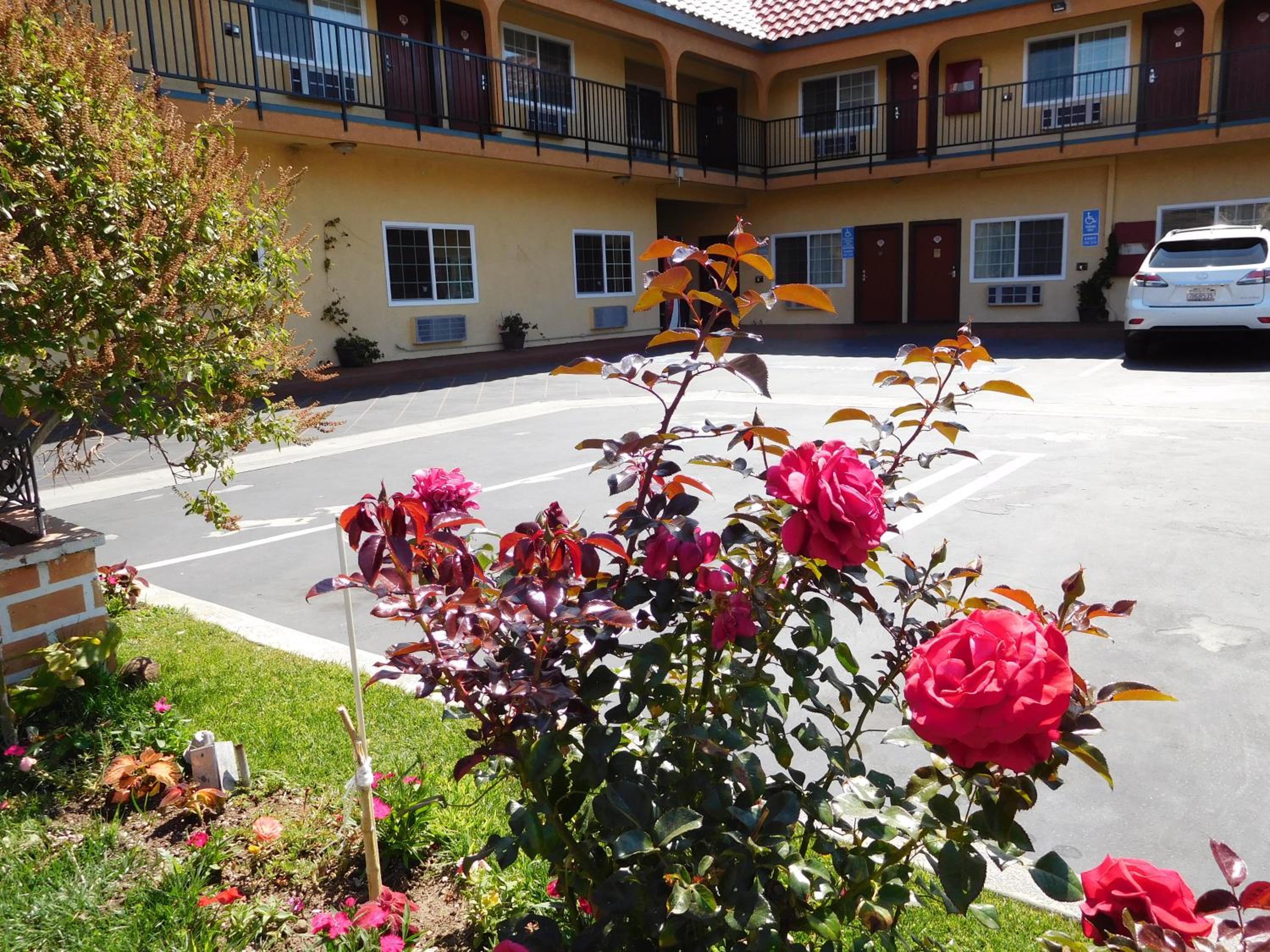 Diamond Inn