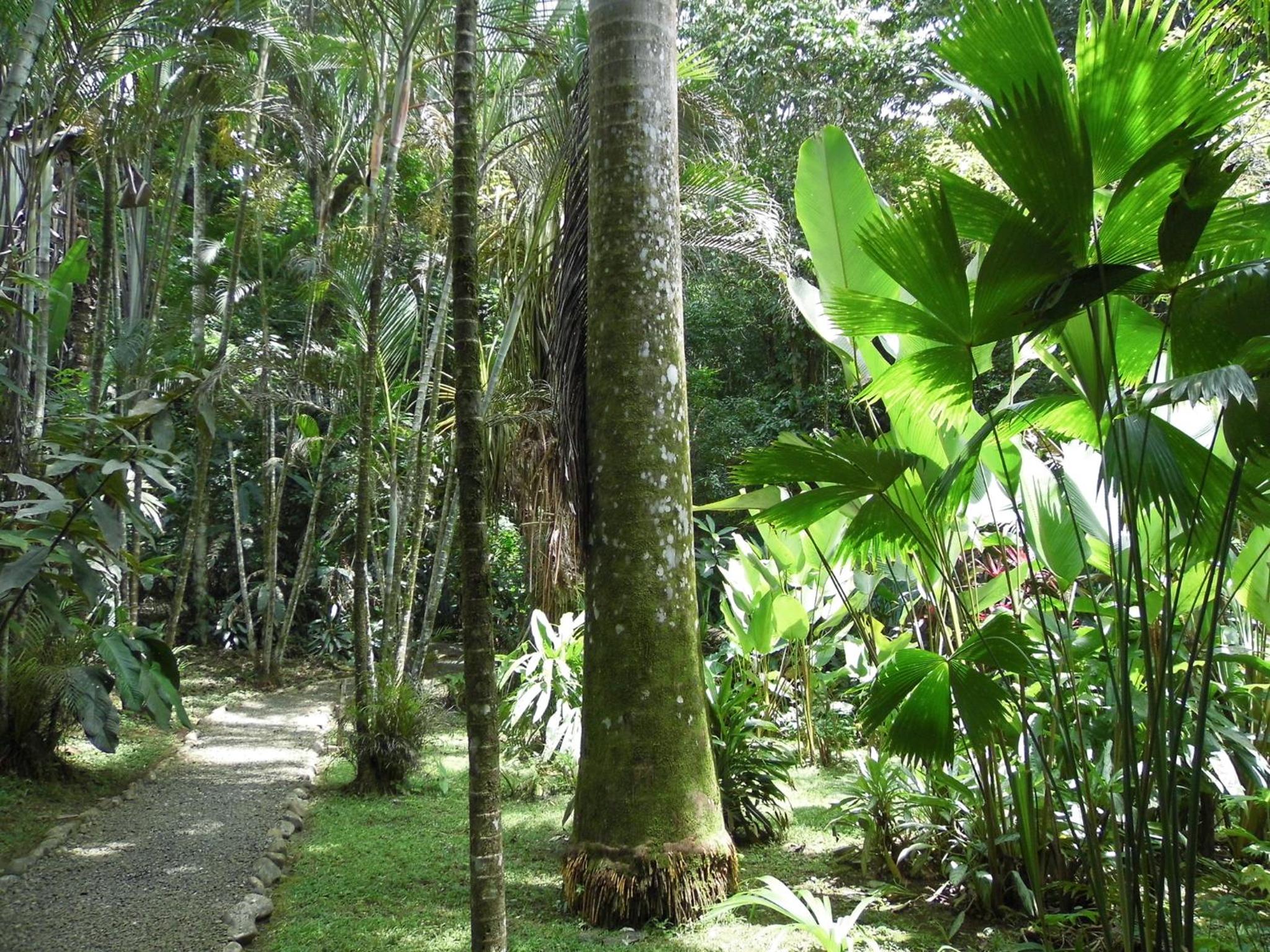 El Colibri Lodge