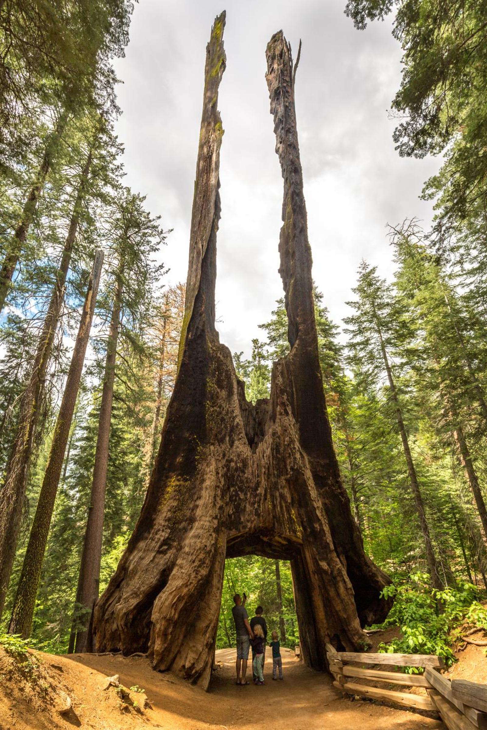 Rush Creek Lodge at Yosemite