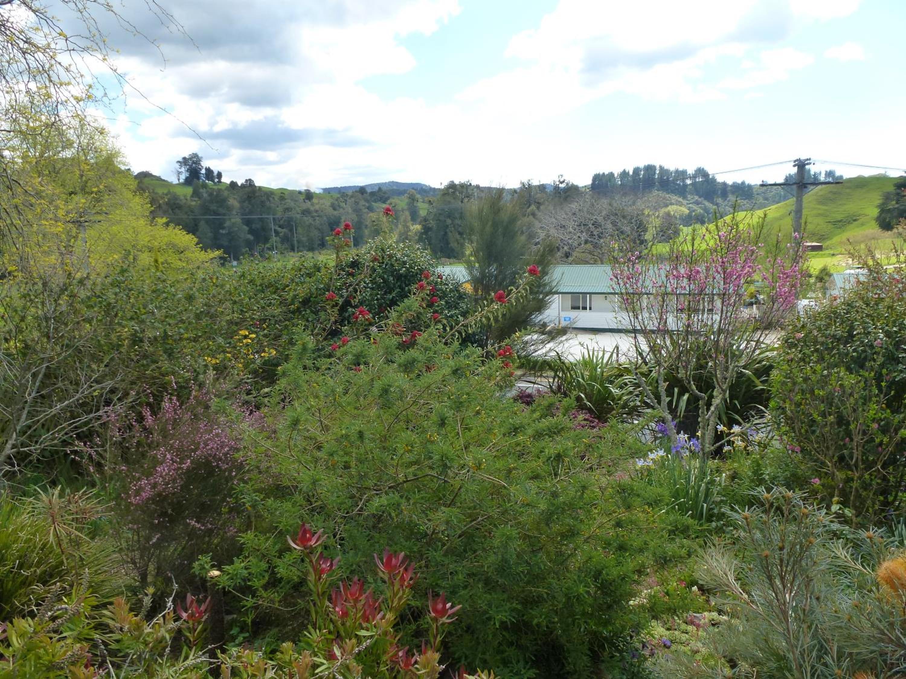 Waitomo Caves Guest Lodge