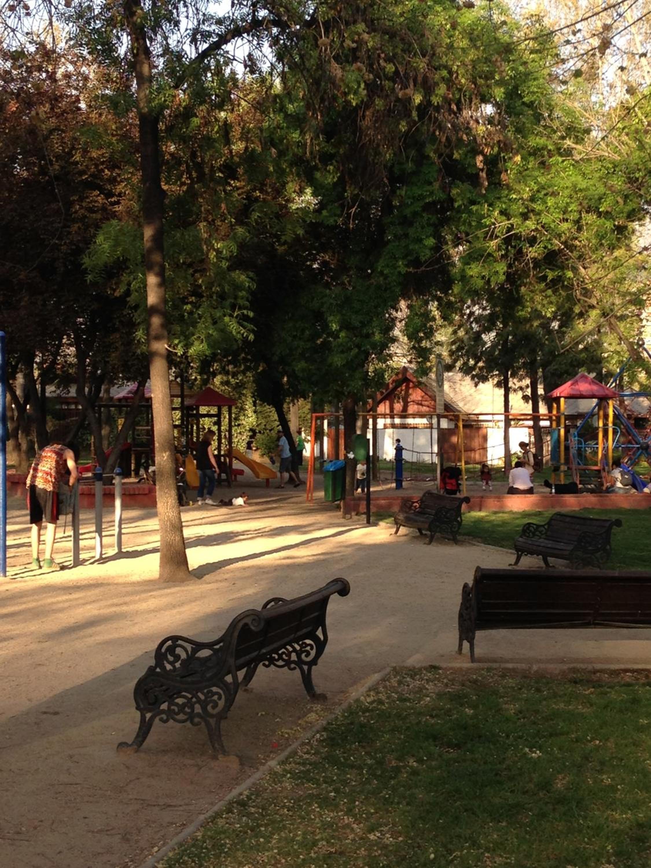 Photo 11
