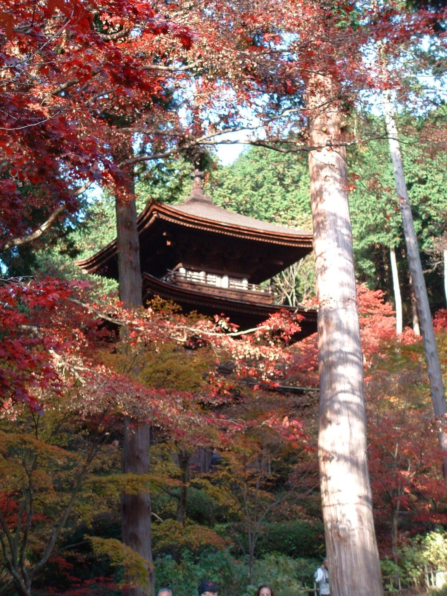 Dantokan Kikunoya