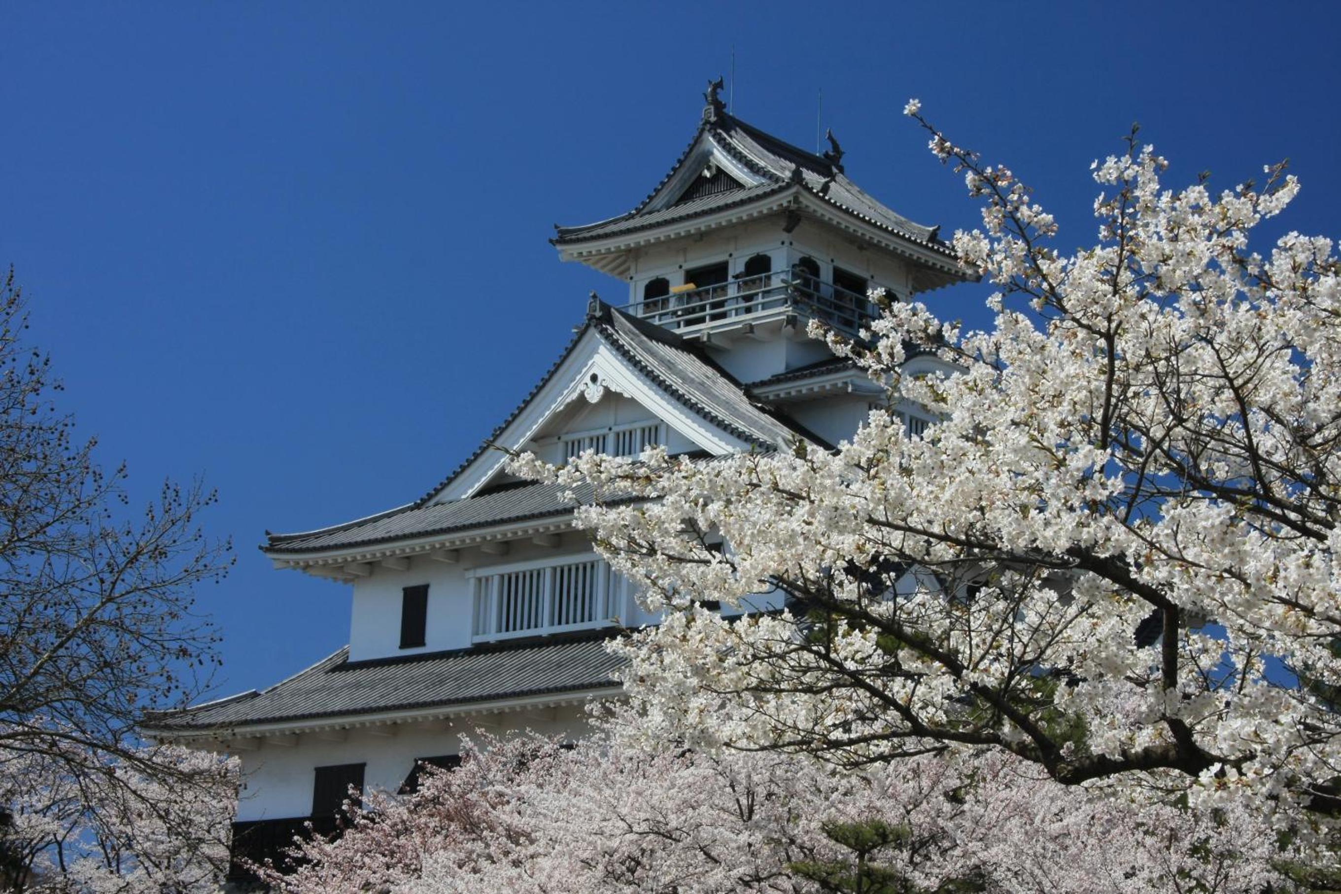 Dantokan Kikunoya