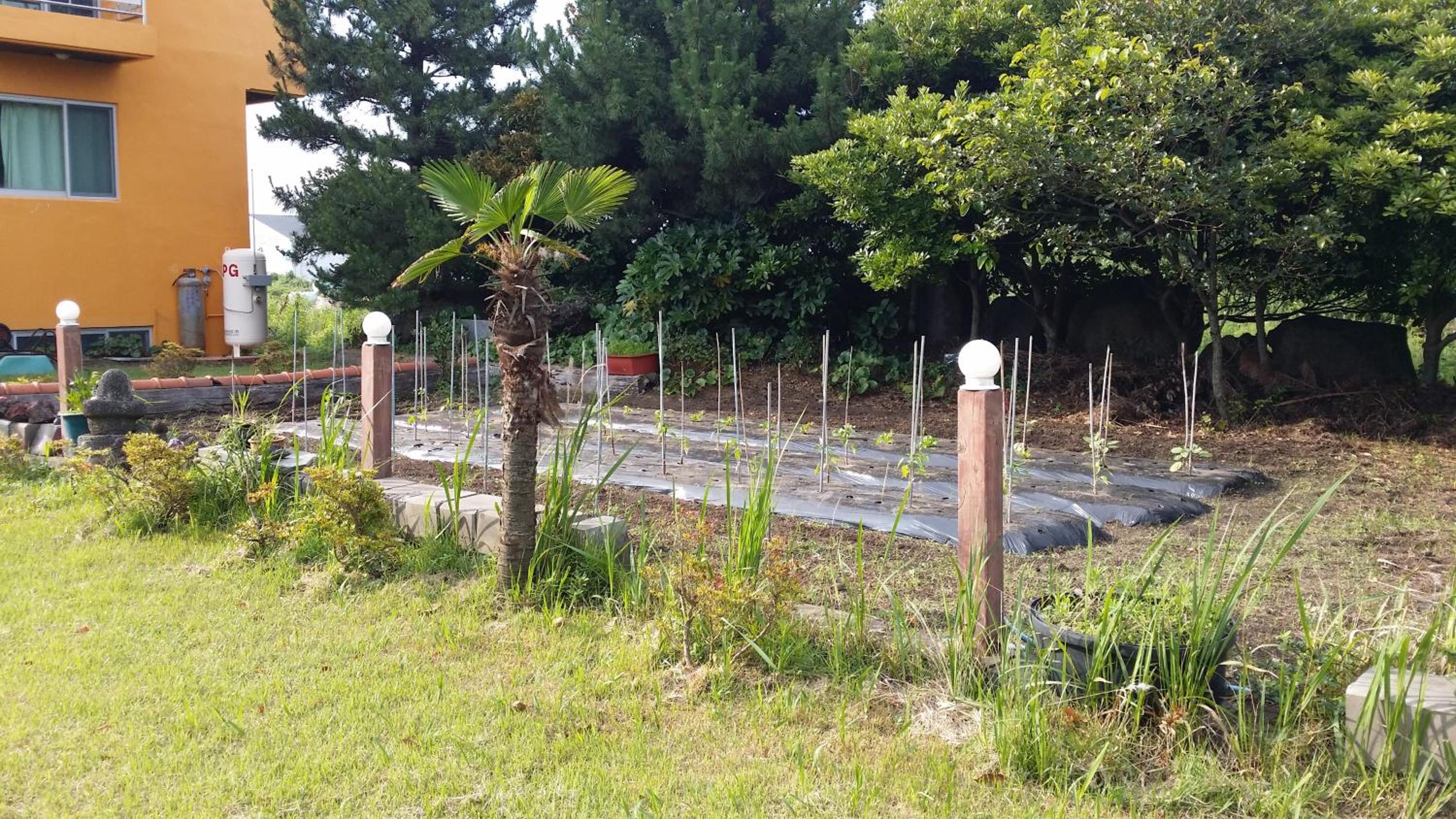 Jun House