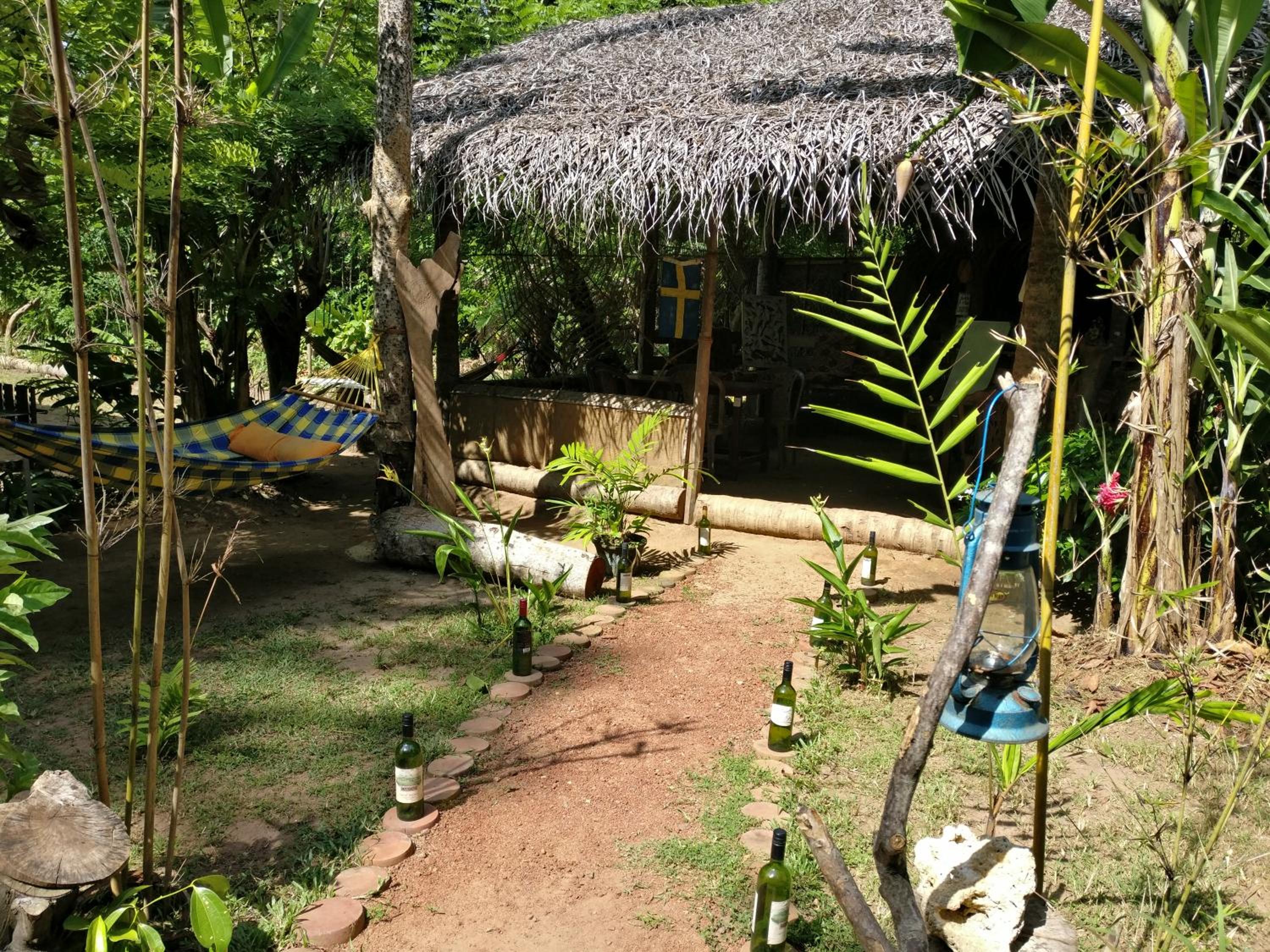 Photo 11