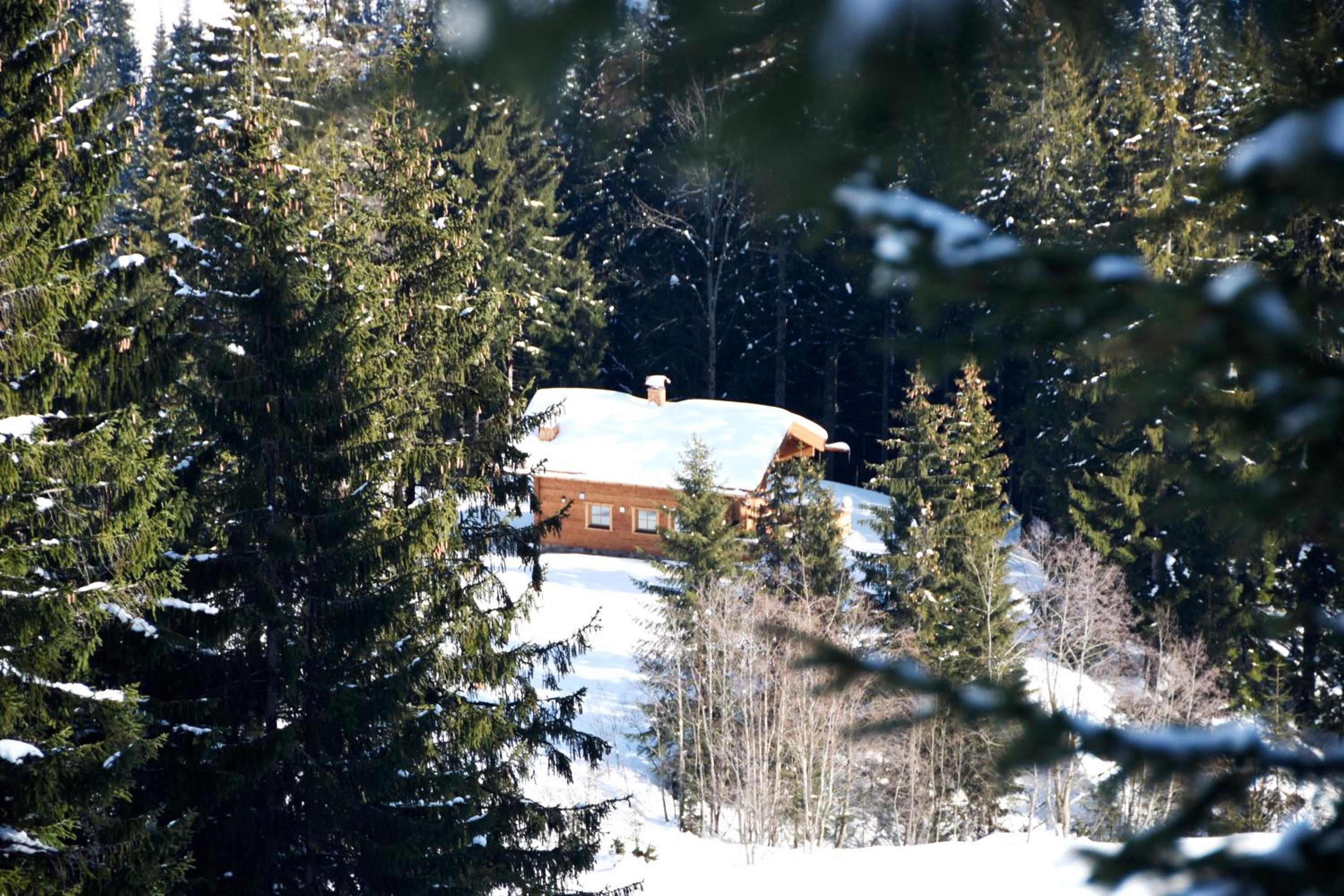 Chalet Haberlhütte view 5
