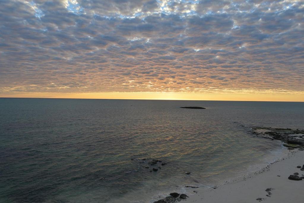 Salary Bay