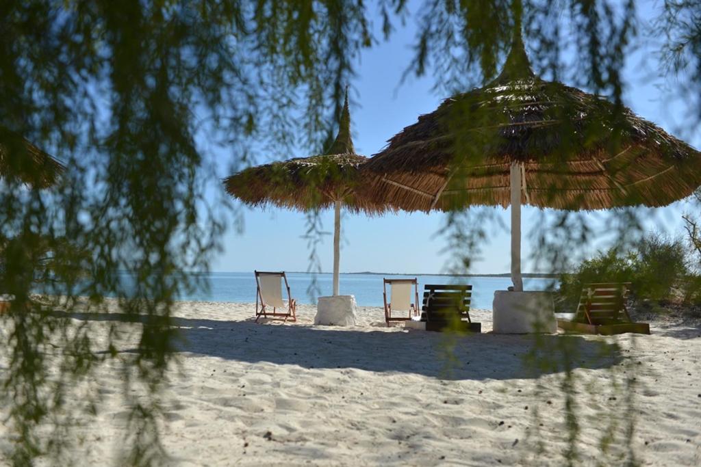 Salary Bay