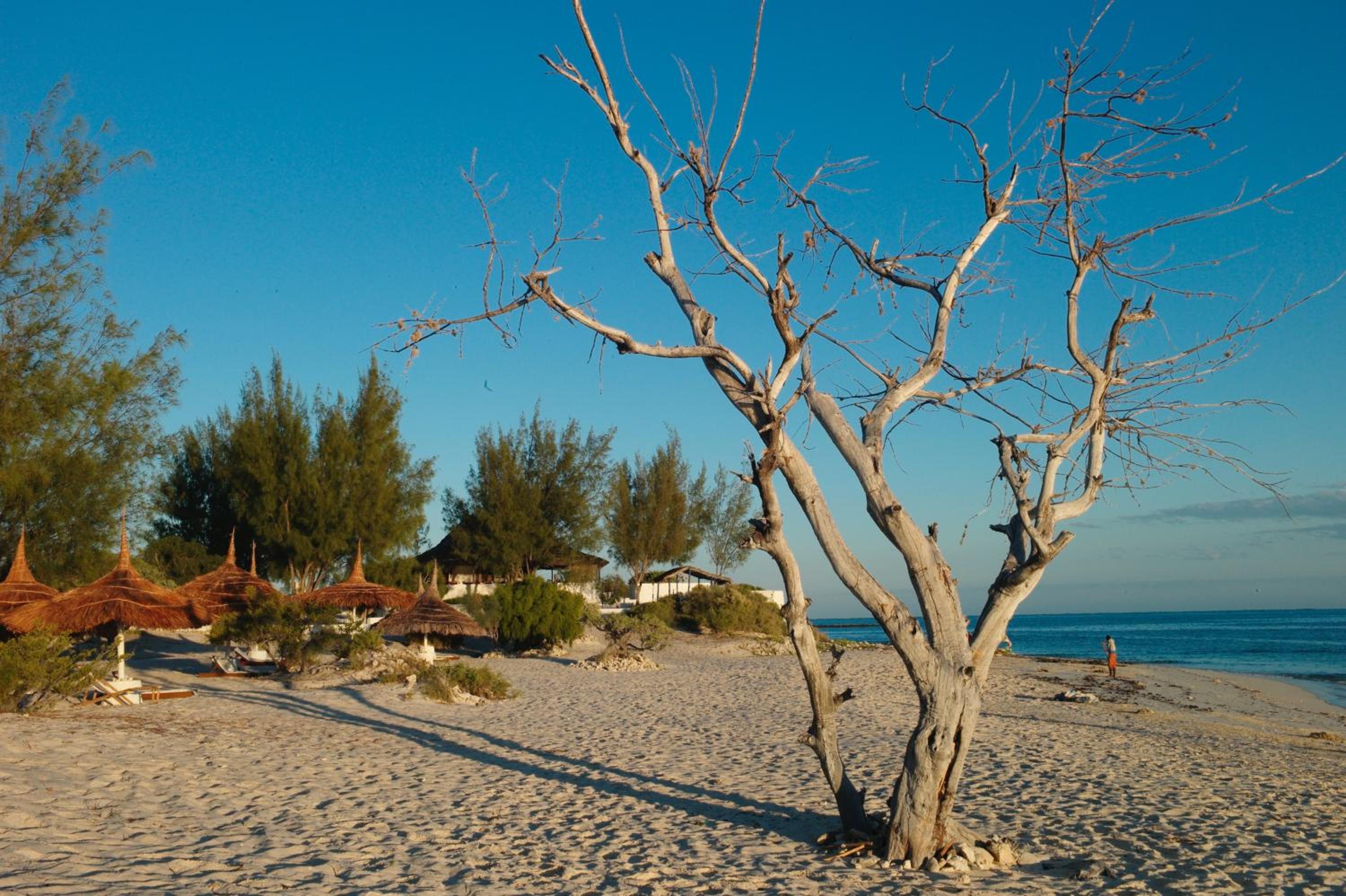 Salary Bay
