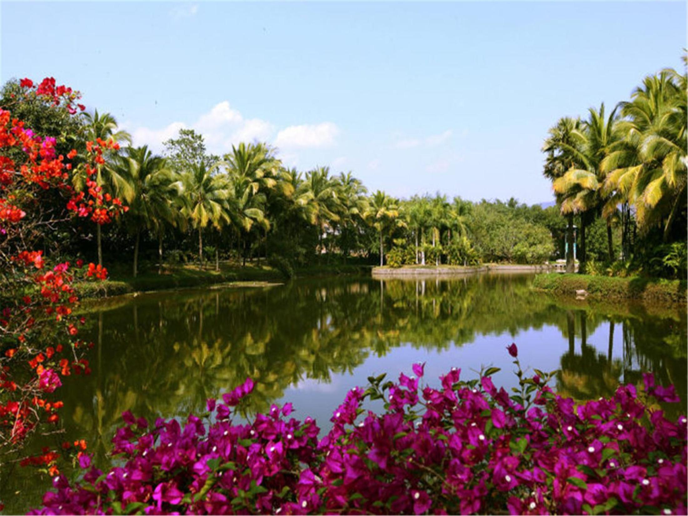Xishuangbanna Elephant Home Guesthouse