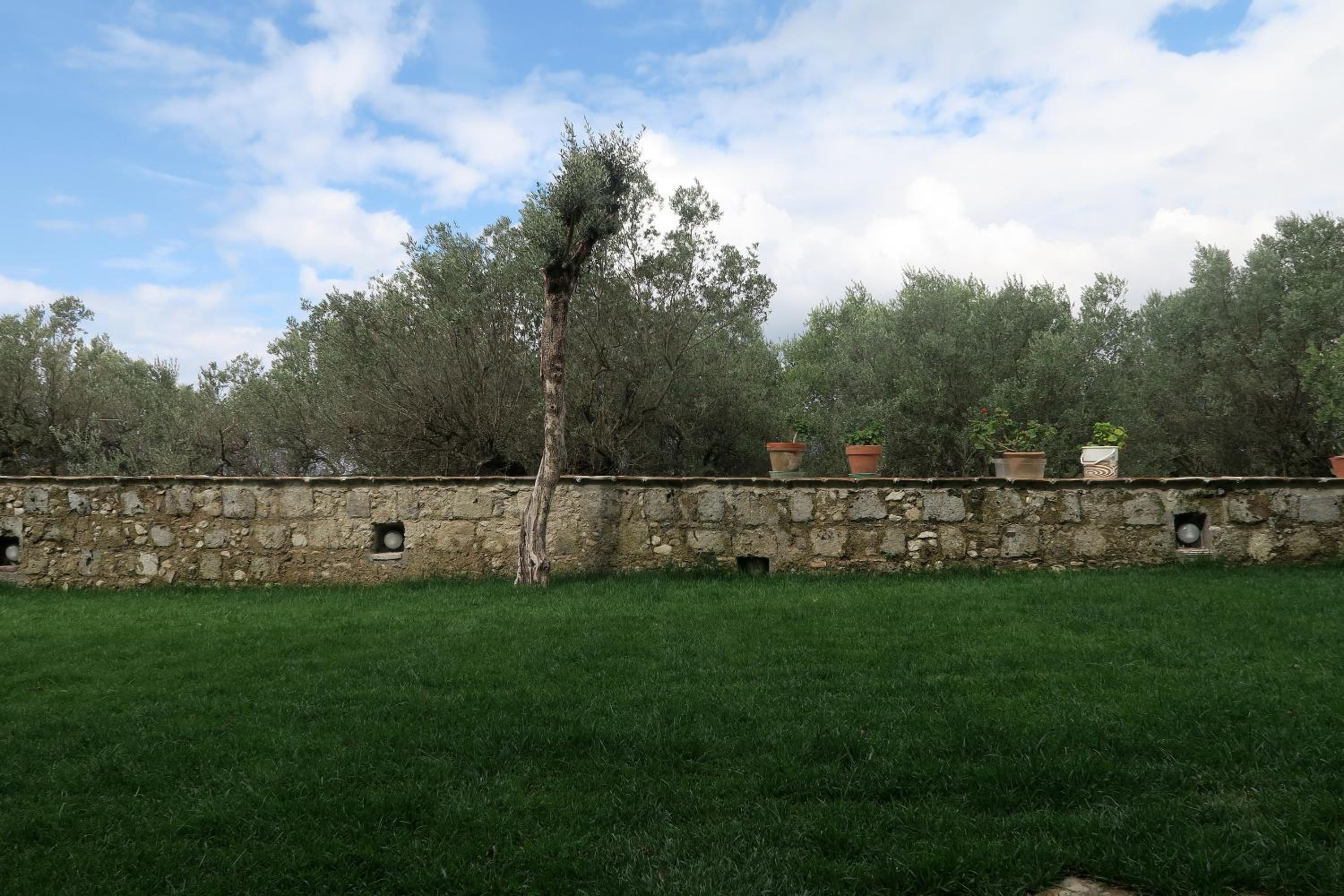 La Tortora