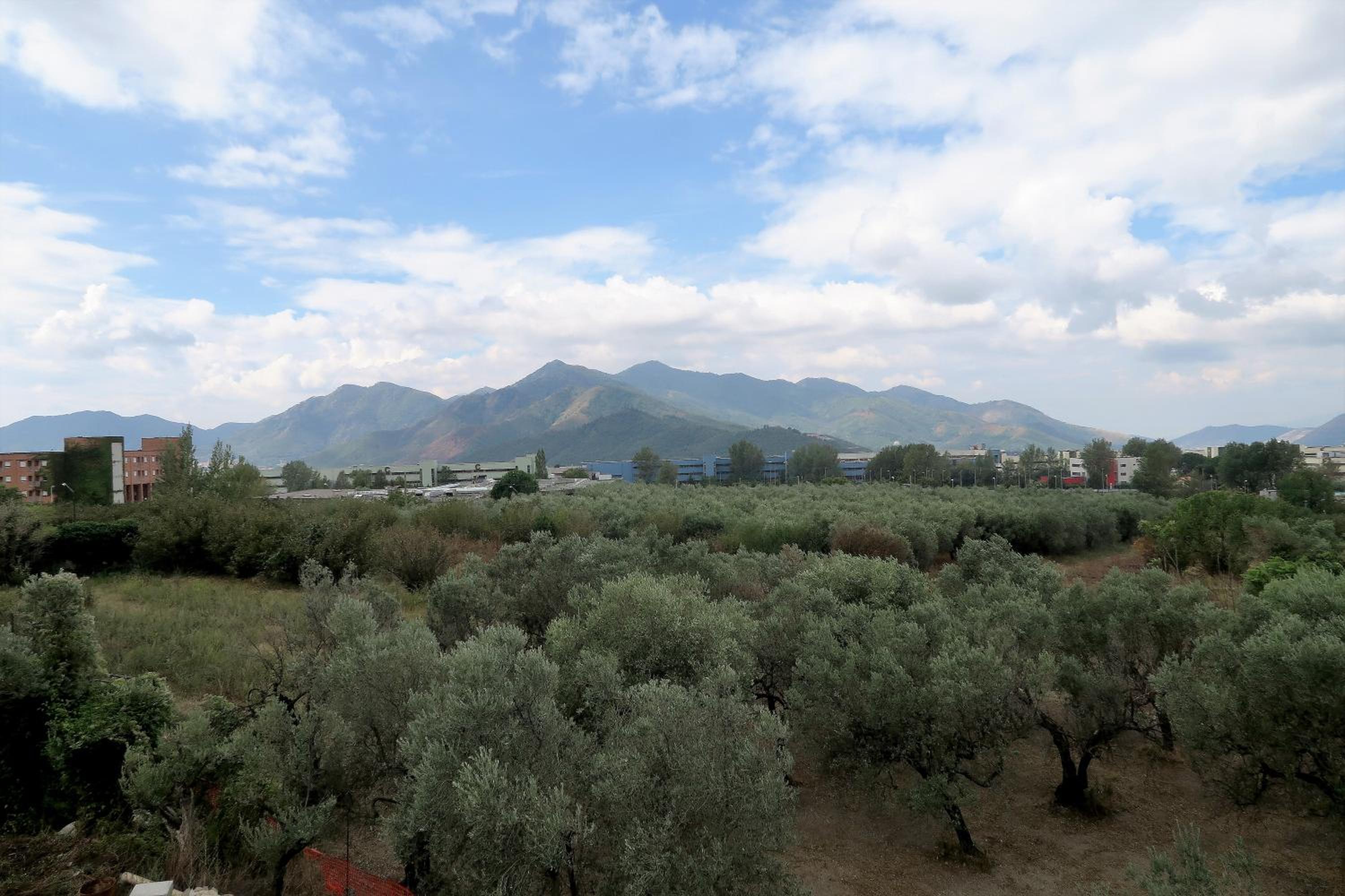 La Tortora