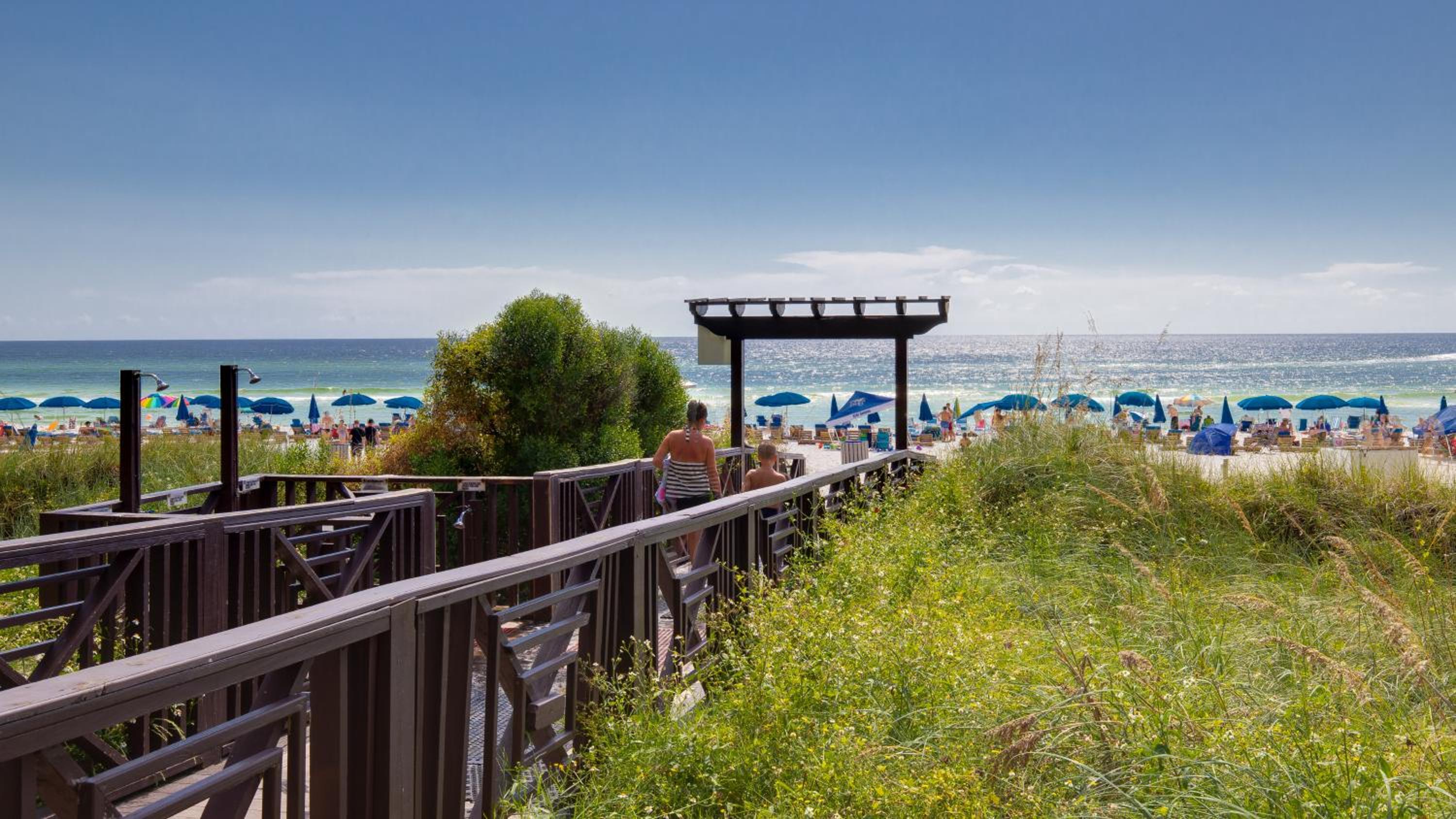 Shores of Panama 2212 | Sea You Soon